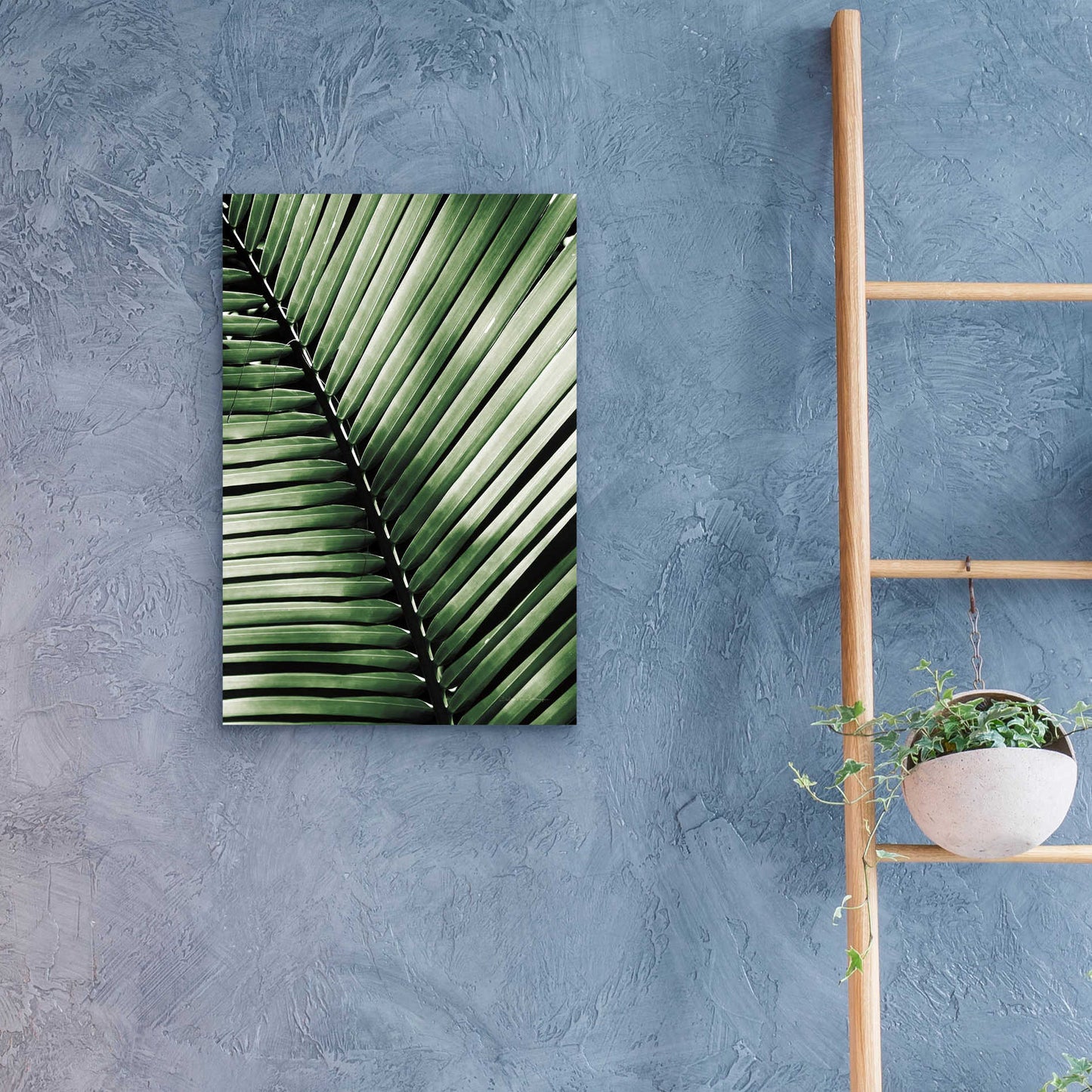 Epic Art 'Palm Frond I Green' by Debra Van Swearingen, Acrylic Glass Wall Art,16x24