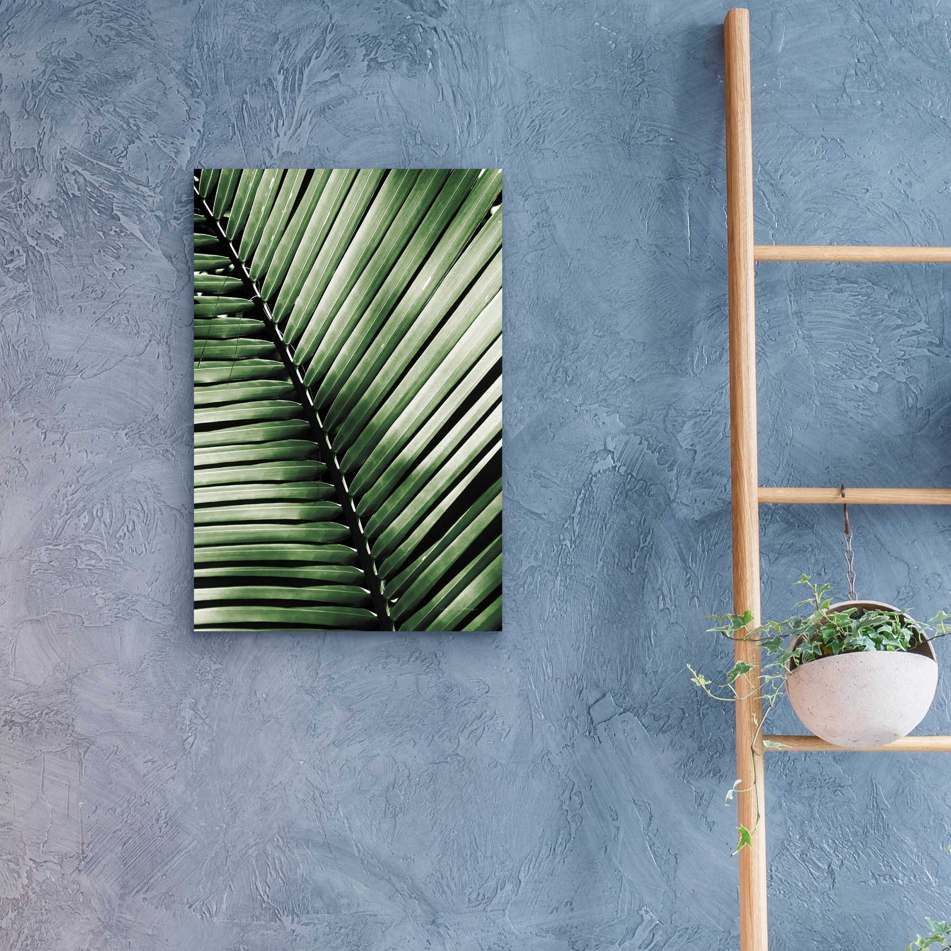 Epic Art 'Palm Frond I Green' by Debra Van Swearingen, Acrylic Glass Wall Art,16x24