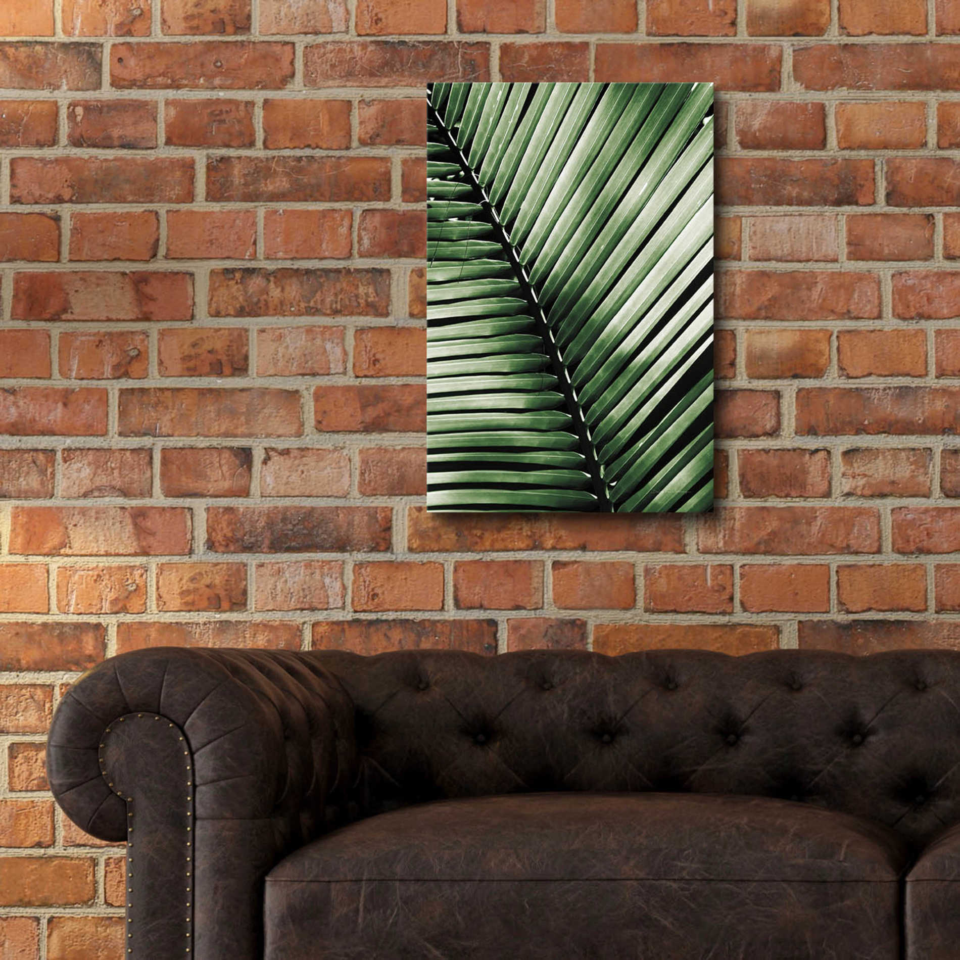 Epic Art 'Palm Frond I Green' by Debra Van Swearingen, Acrylic Glass Wall Art,16x24