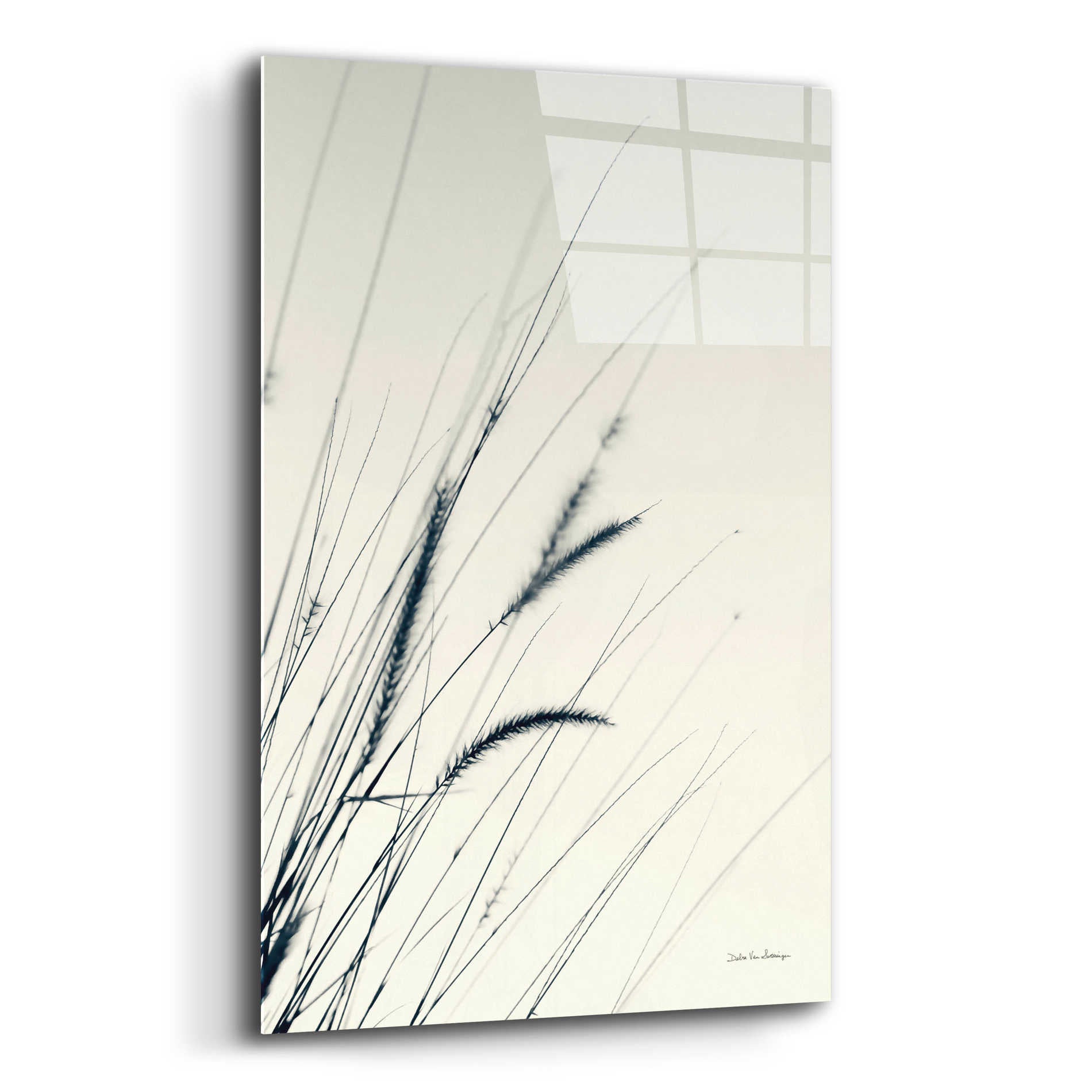 Epic Art 'Field Grasses I' by Debra Van Swearingen, Acrylic Glass Wall Art,12x16