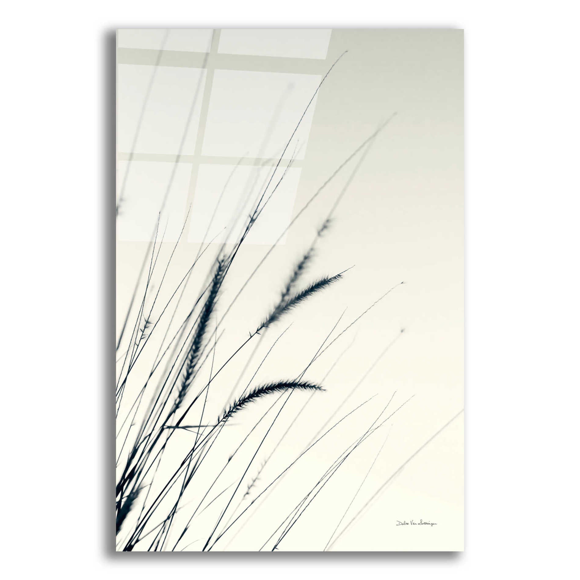 Epic Art 'Field Grasses I' by Debra Van Swearingen, Acrylic Glass Wall Art,12x16