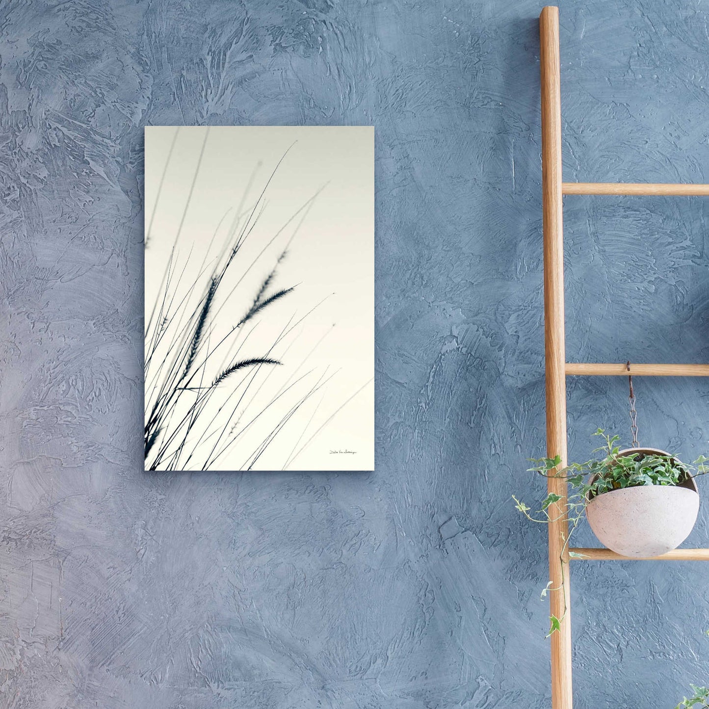 Epic Art 'Field Grasses I' by Debra Van Swearingen, Acrylic Glass Wall Art,16x24