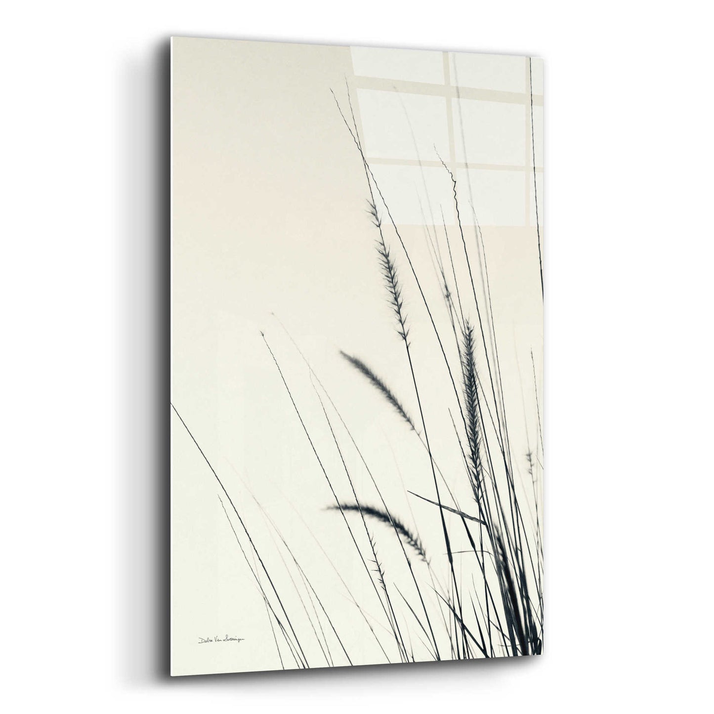 Epic Art 'Field Grasses II' by Debra Van Swearingen, Acrylic Glass Wall Art,12x16