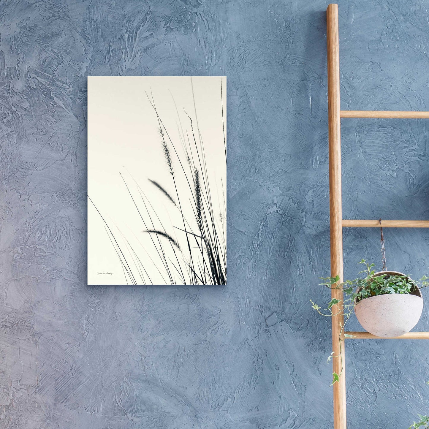 Epic Art 'Field Grasses II' by Debra Van Swearingen, Acrylic Glass Wall Art,16x24