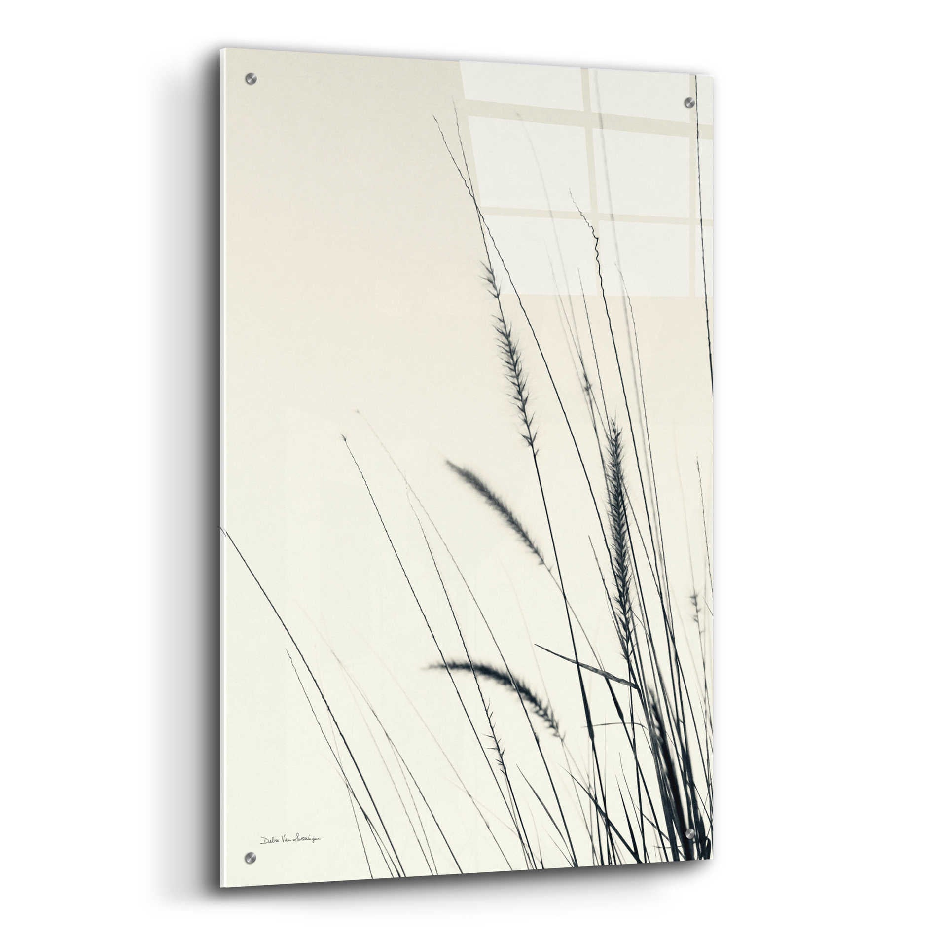 Epic Art 'Field Grasses II' by Debra Van Swearingen, Acrylic Glass Wall Art,24x36