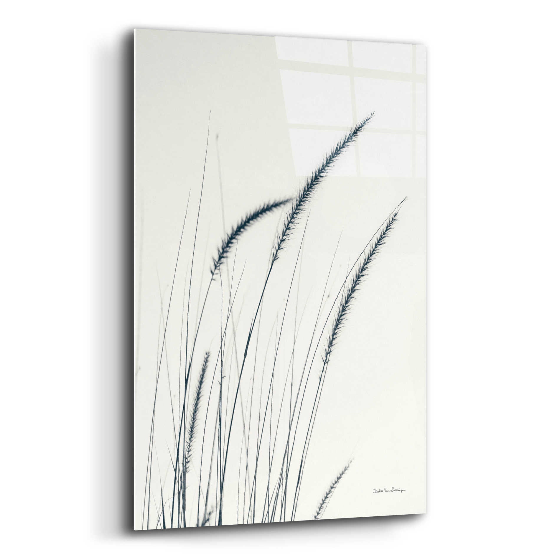 Epic Art 'Field Grasses III' by Debra Van Swearingen, Acrylic Glass Wall Art,12x16