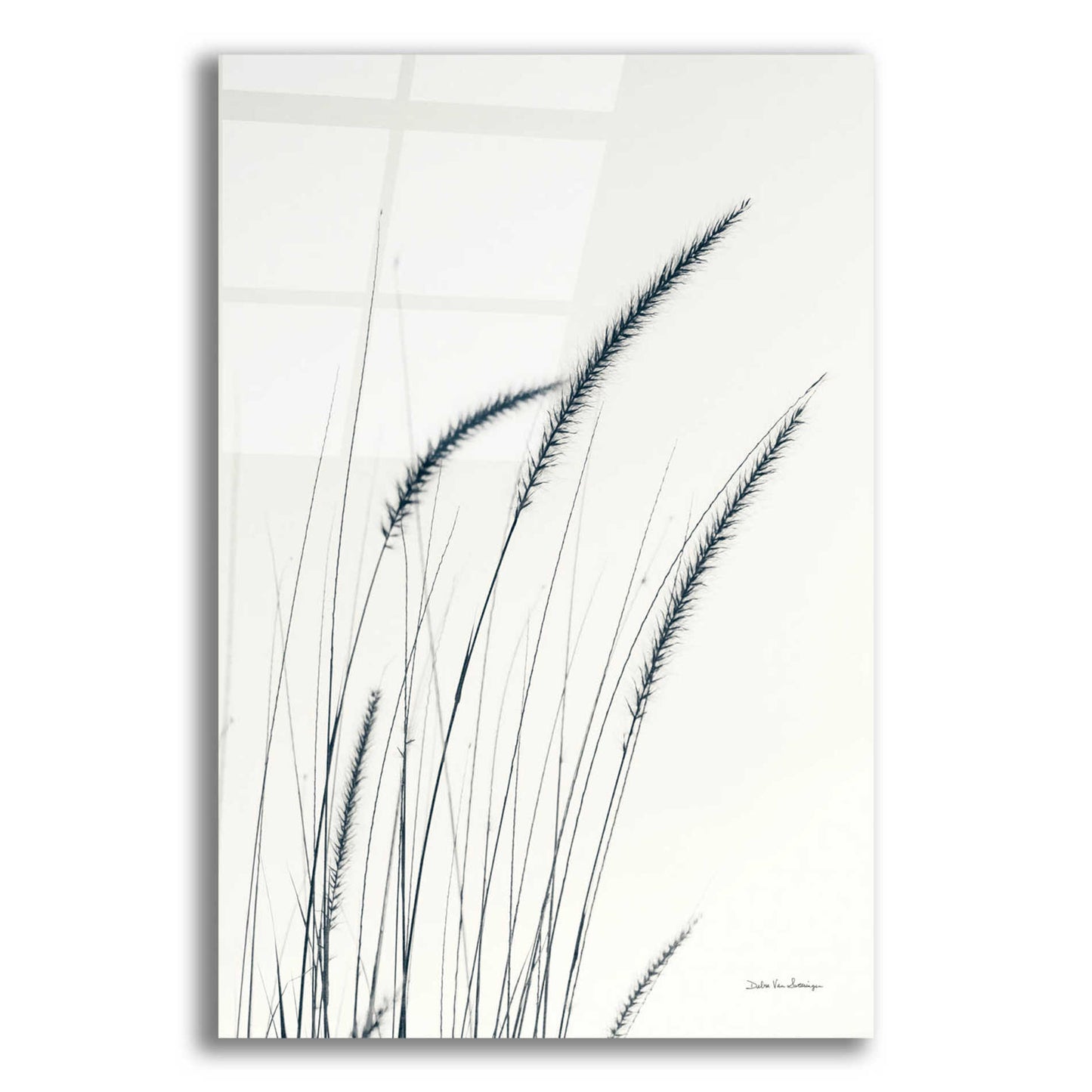 Epic Art 'Field Grasses III' by Debra Van Swearingen, Acrylic Glass Wall Art,12x16