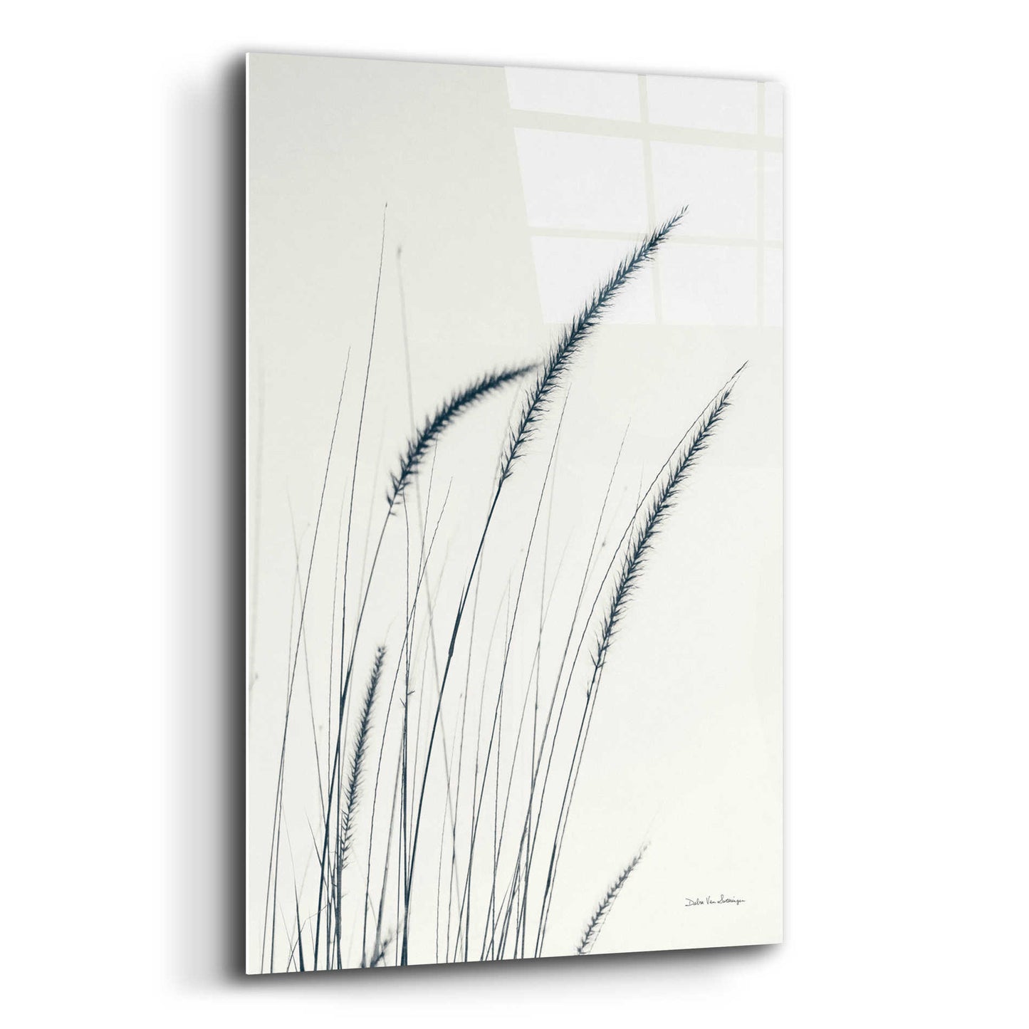 Epic Art 'Field Grasses III' by Debra Van Swearingen, Acrylic Glass Wall Art,16x24