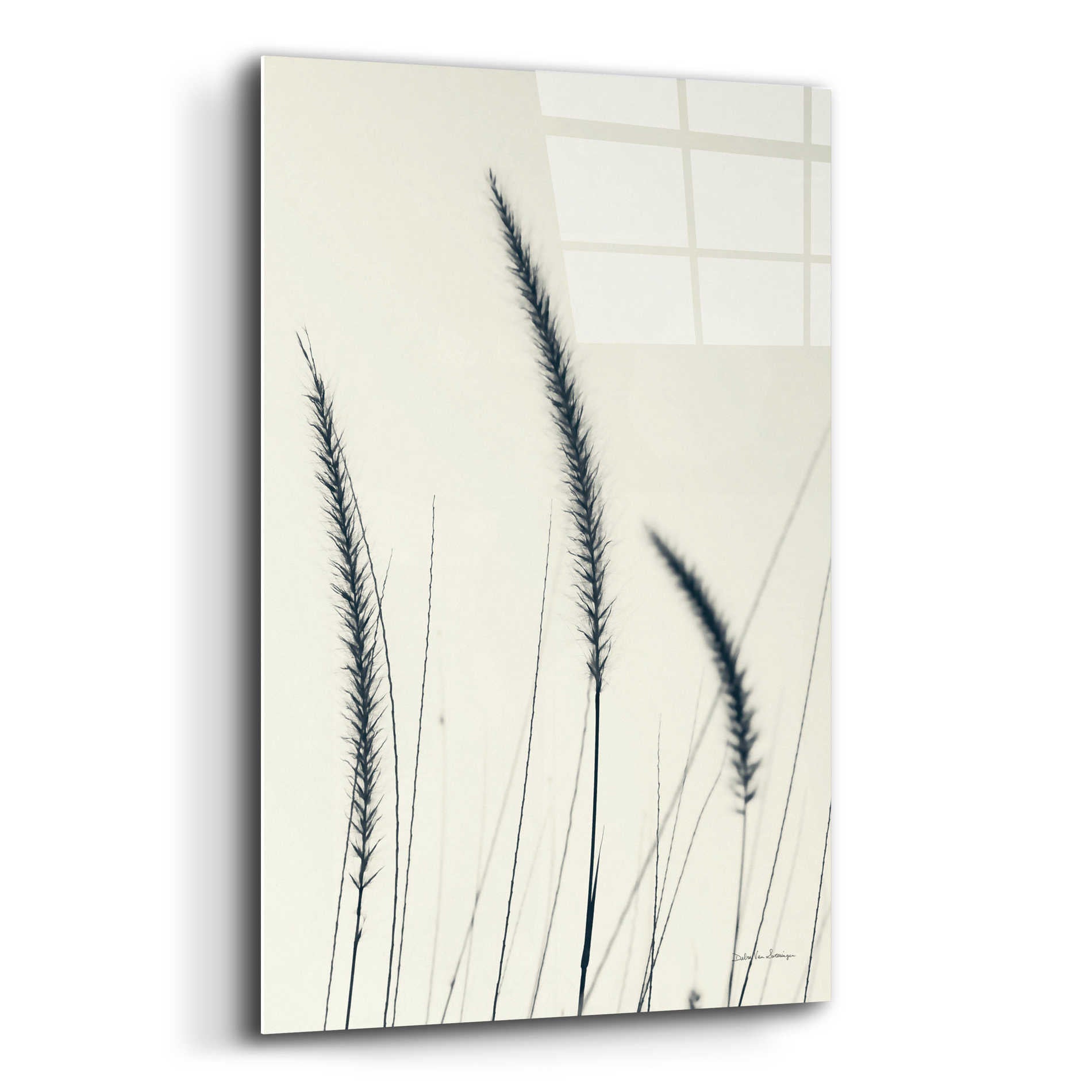 Epic Art 'Field Grasses IV' by Debra Van Swearingen, Acrylic Glass Wall Art,12x16