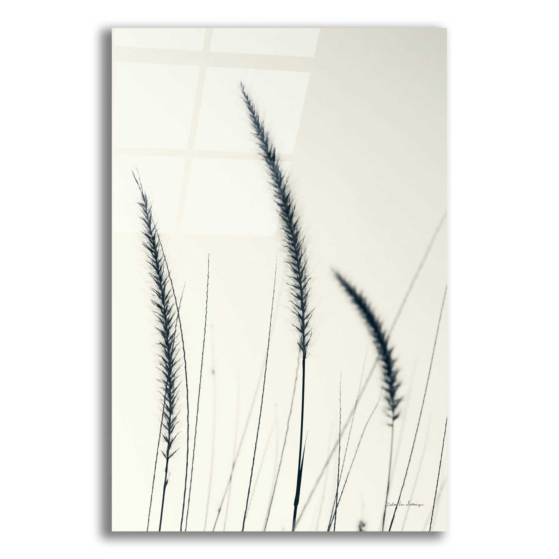 Epic Art 'Field Grasses IV' by Debra Van Swearingen, Acrylic Glass Wall Art,12x16