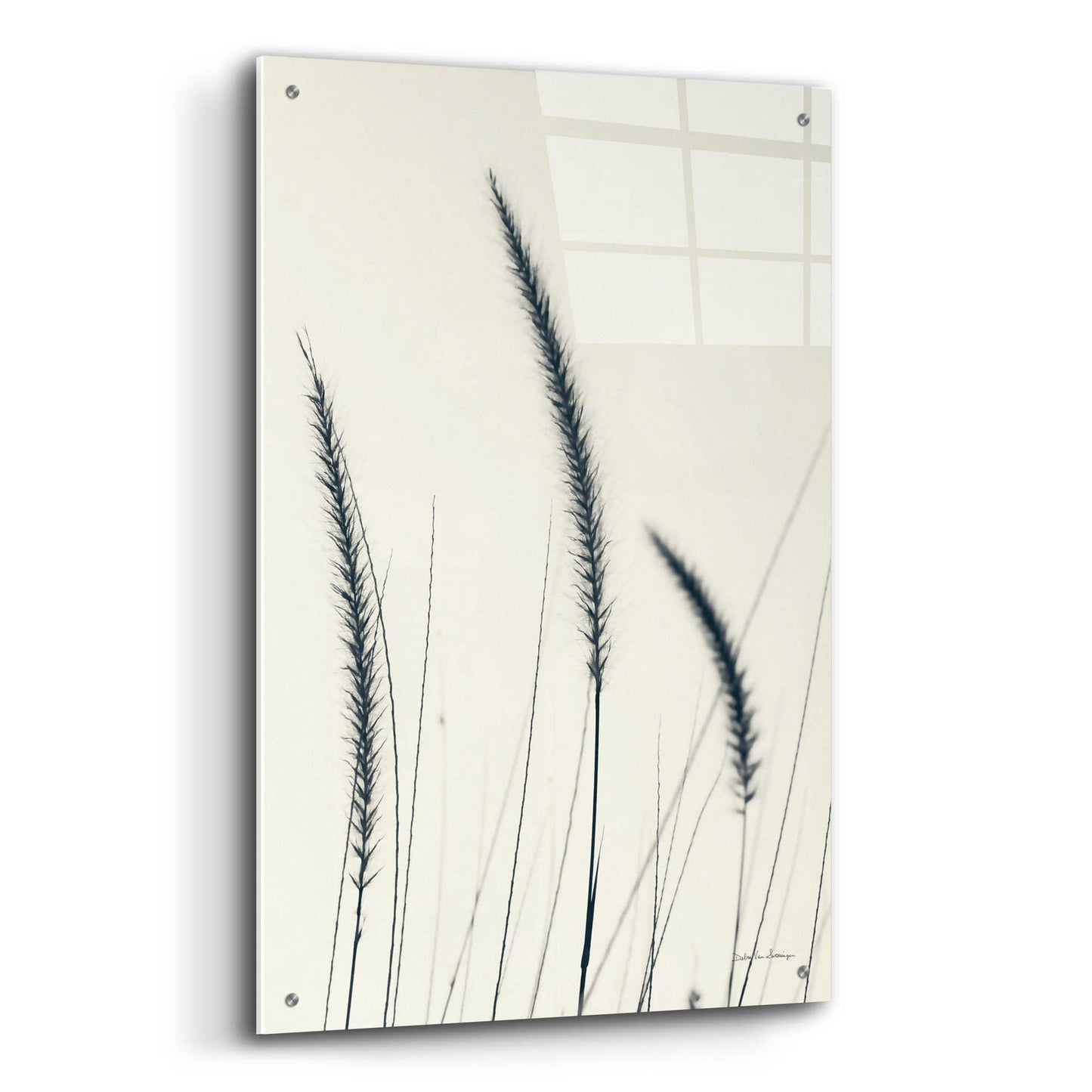 Epic Art 'Field Grasses IV' by Debra Van Swearingen, Acrylic Glass Wall Art,24x36