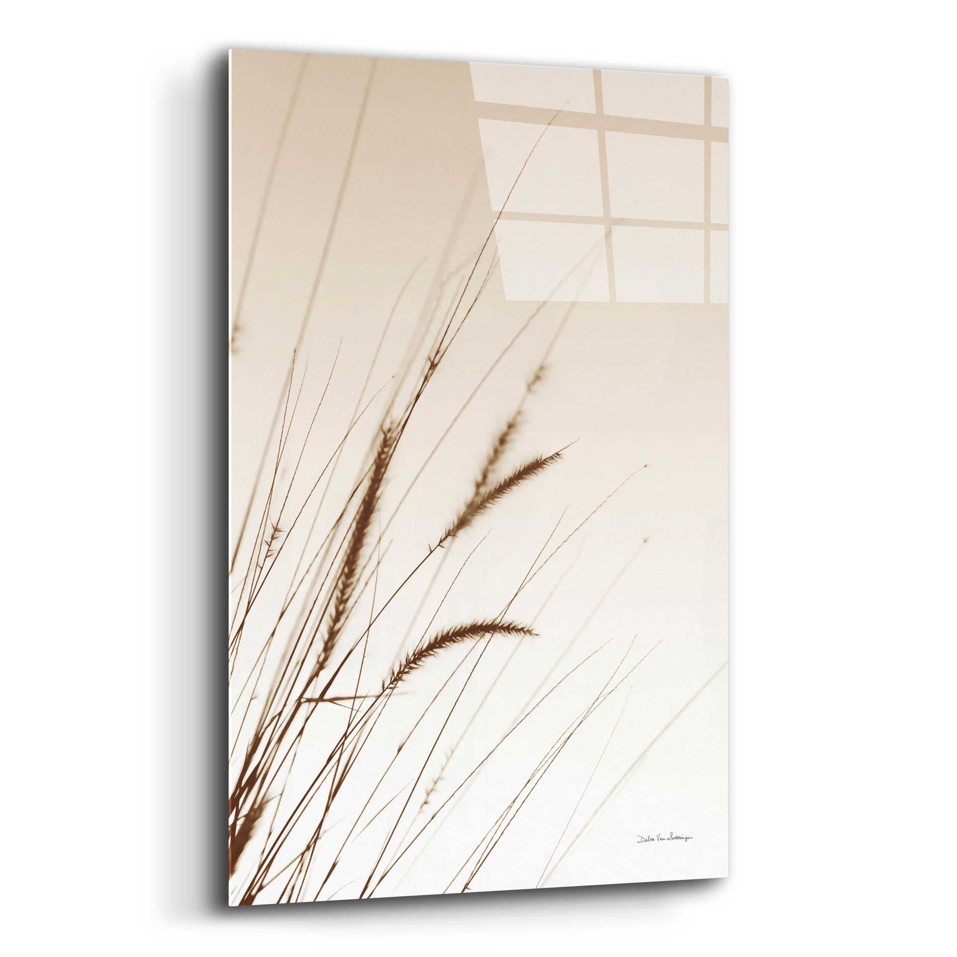 Epic Art 'Field Grasses I Sepia' by Debra Van Swearingen, Acrylic Glass Wall Art,12x16