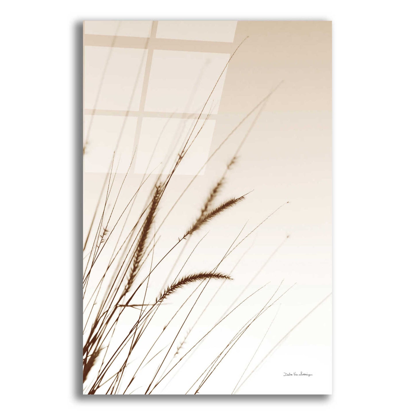 Epic Art 'Field Grasses I Sepia' by Debra Van Swearingen, Acrylic Glass Wall Art,12x16