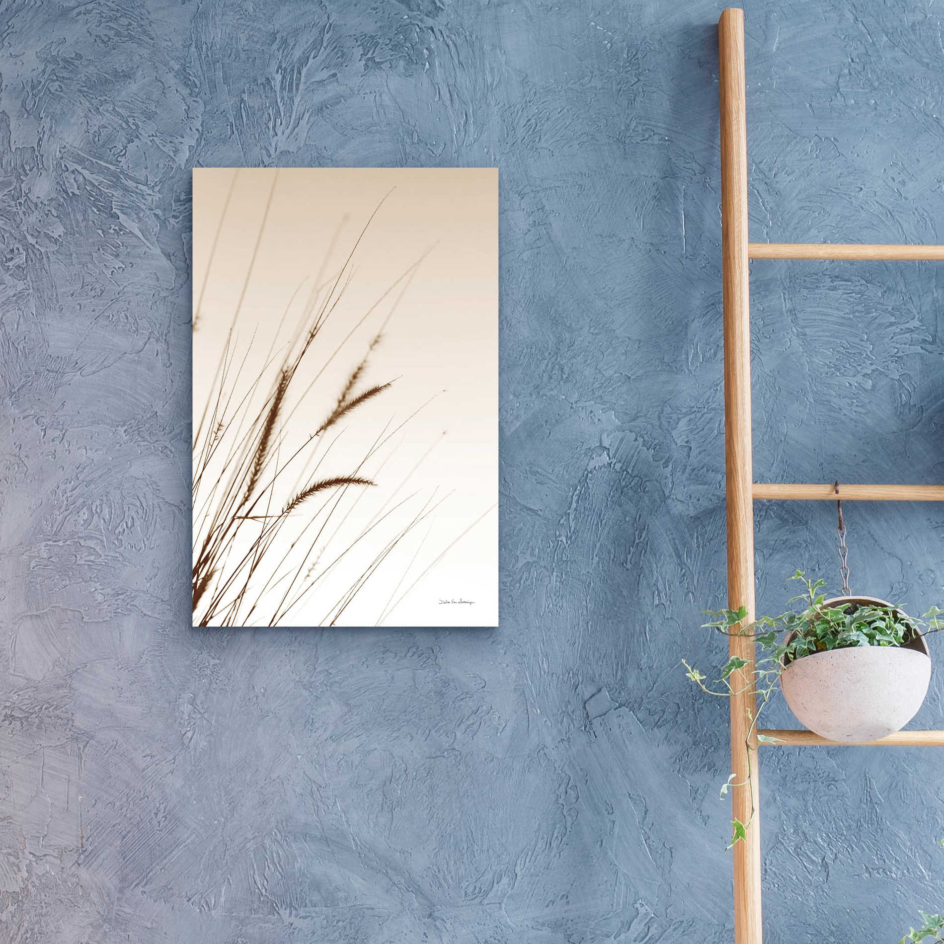 Epic Art 'Field Grasses I Sepia' by Debra Van Swearingen, Acrylic Glass Wall Art,16x24