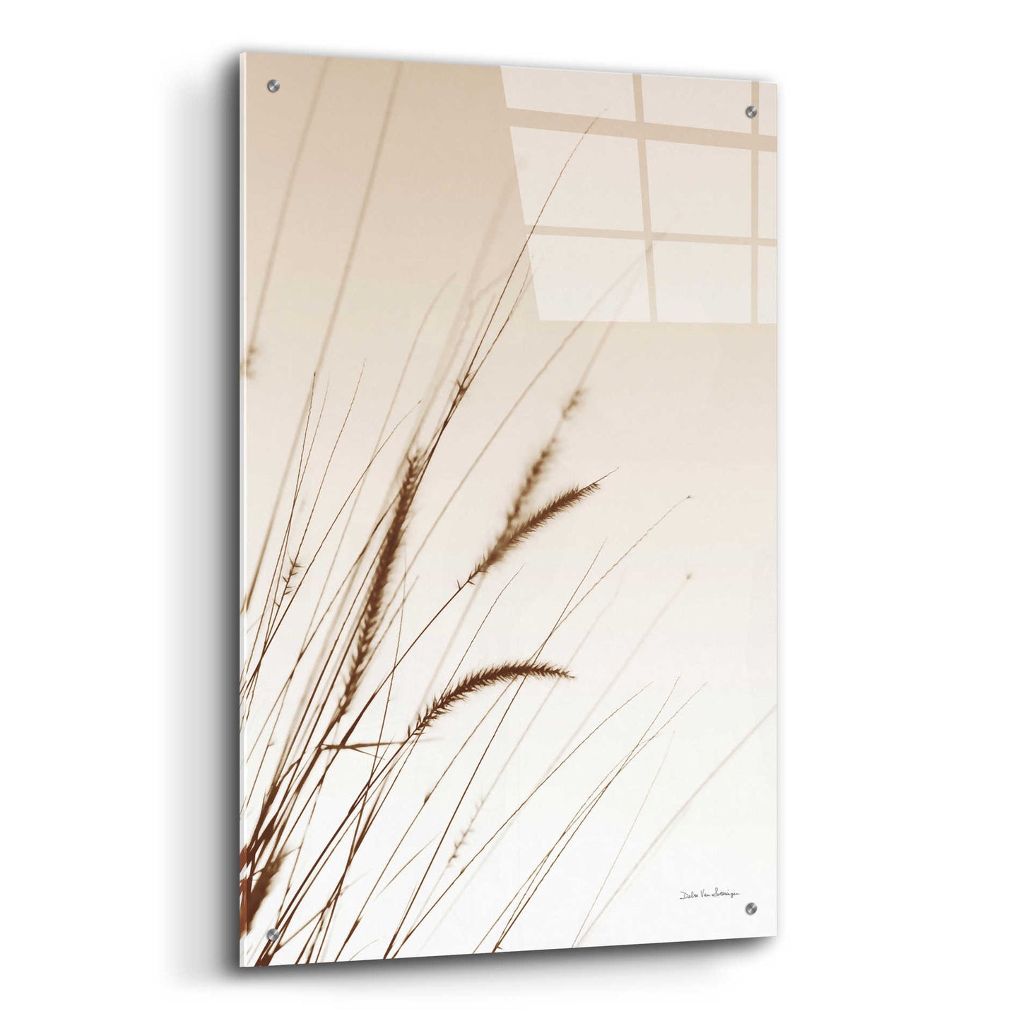 Epic Art 'Field Grasses I Sepia' by Debra Van Swearingen, Acrylic Glass Wall Art,24x36