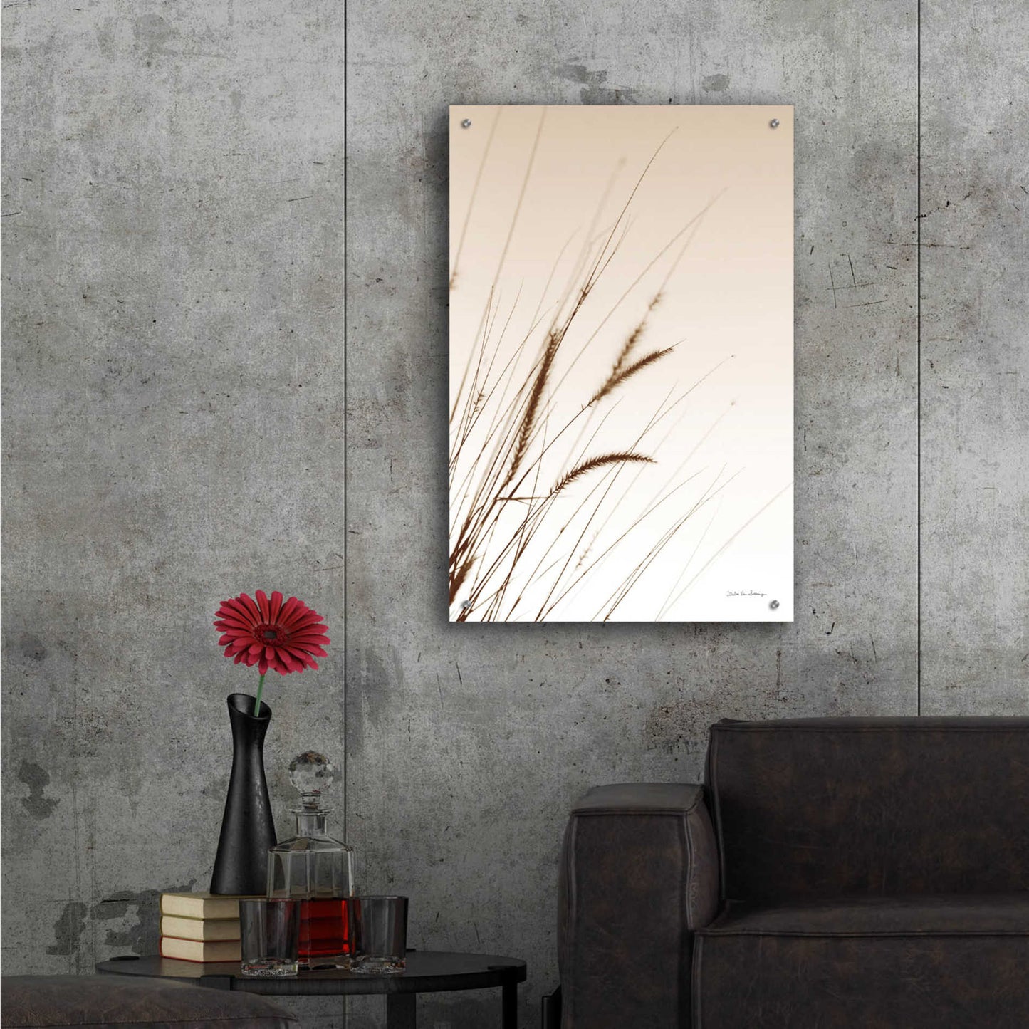 Epic Art 'Field Grasses I Sepia' by Debra Van Swearingen, Acrylic Glass Wall Art,24x36