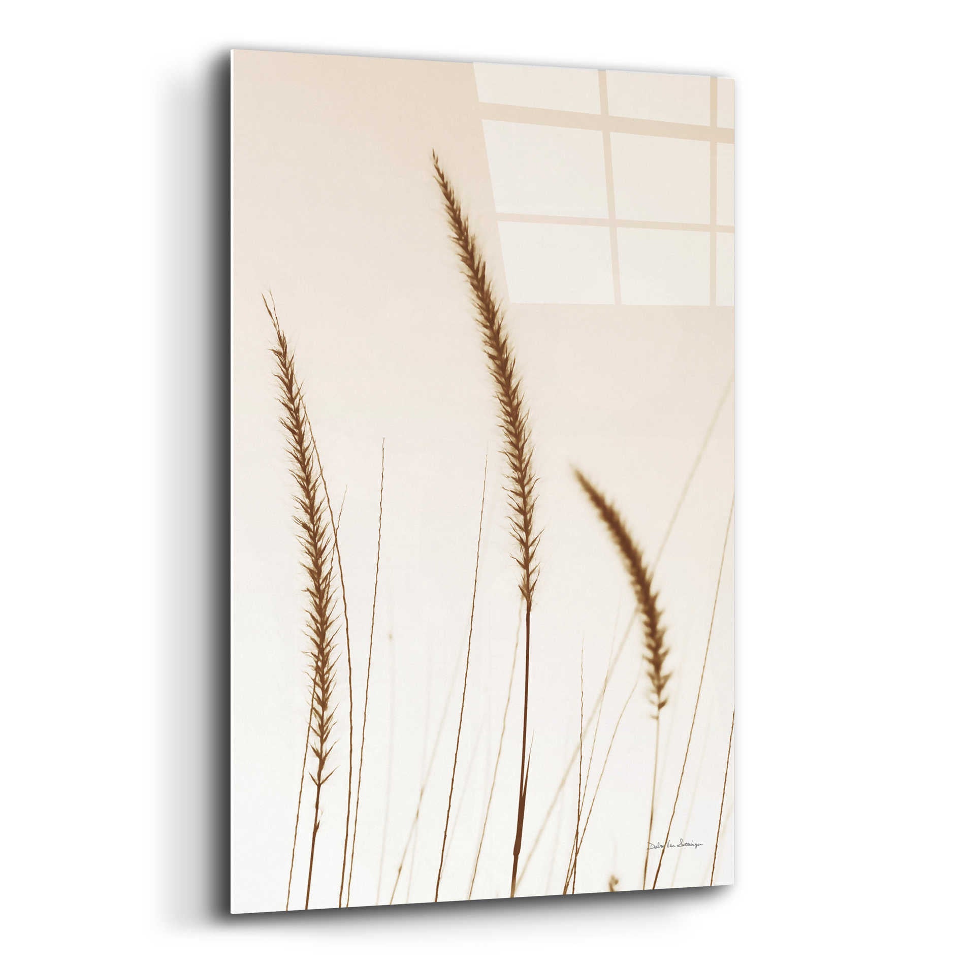 Epic Art 'Field Grasses IV Sepia' by Debra Van Swearingen, Acrylic Glass Wall Art,12x16