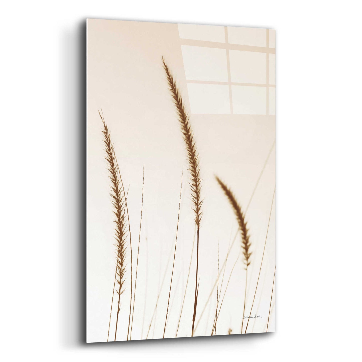 Epic Art 'Field Grasses IV Sepia' by Debra Van Swearingen, Acrylic Glass Wall Art,16x24