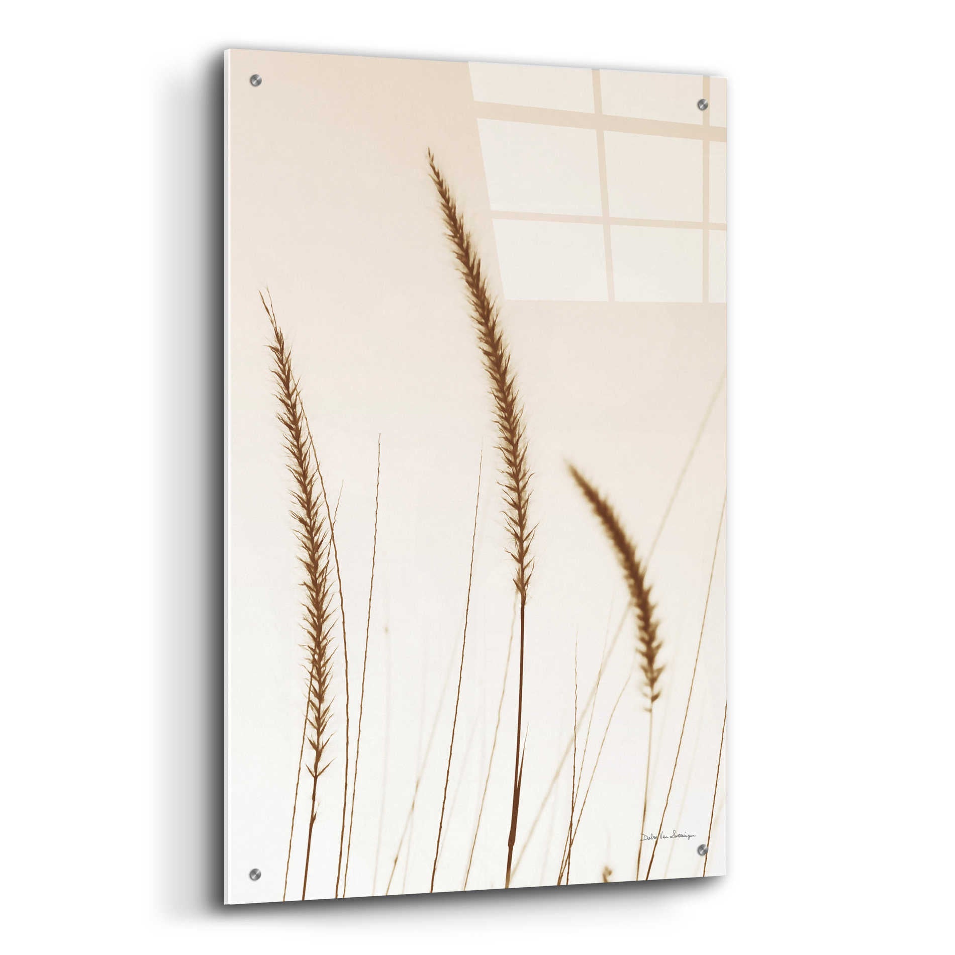 Epic Art 'Field Grasses IV Sepia' by Debra Van Swearingen, Acrylic Glass Wall Art,24x36