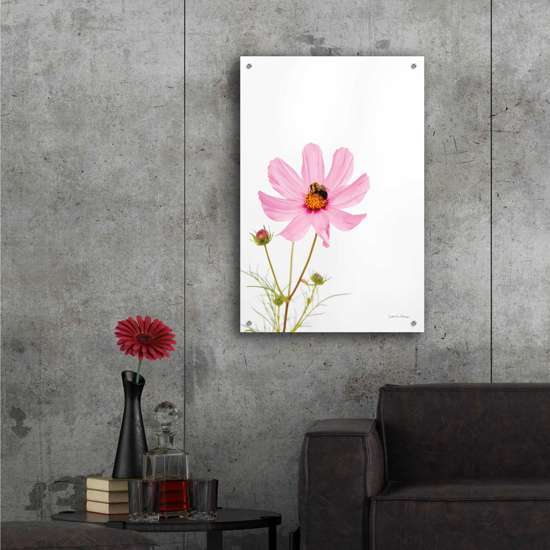 Epic Art 'Pale Cosmos II' by Debra Van Swearingen, Acrylic Glass Wall Art,24x36