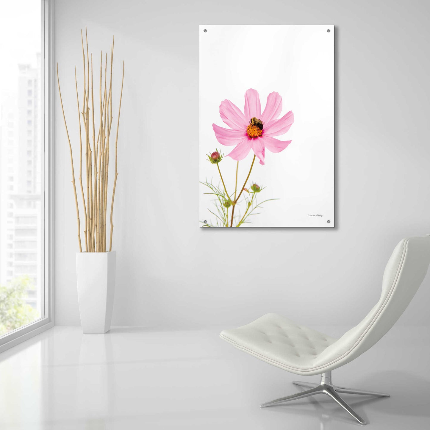 Epic Art 'Pale Cosmos II' by Debra Van Swearingen, Acrylic Glass Wall Art,24x36