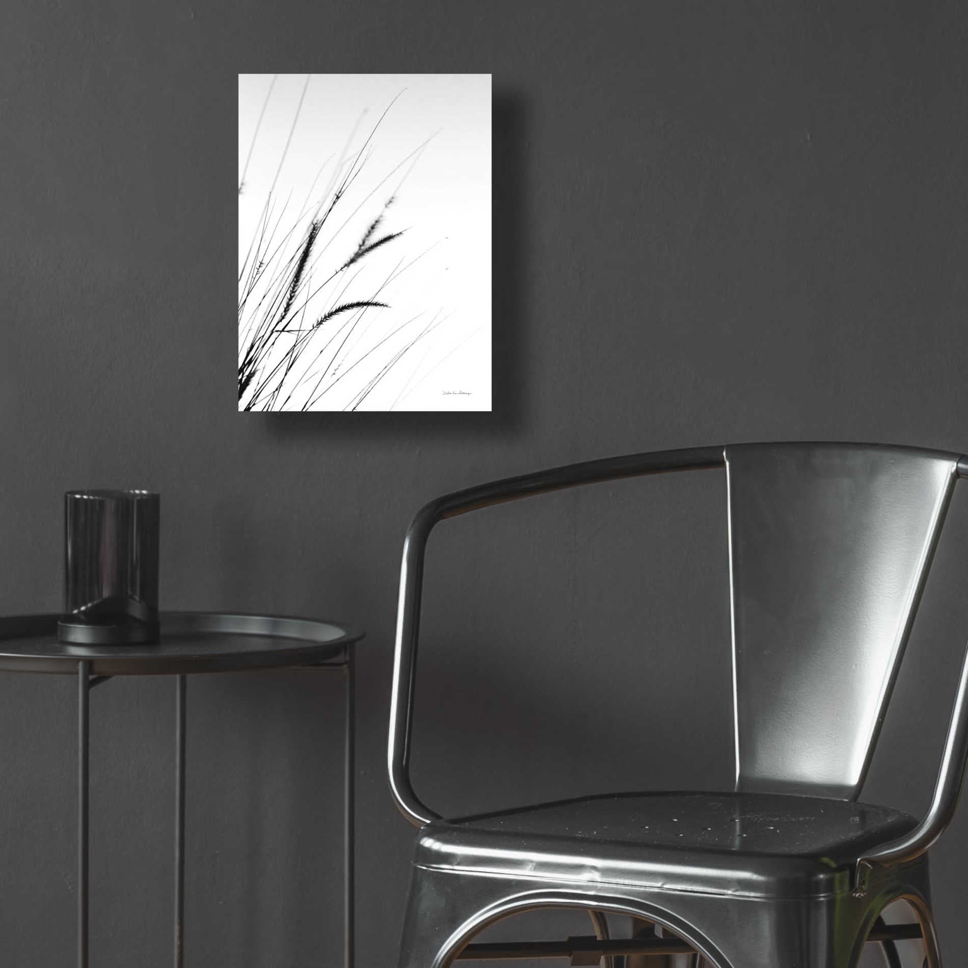 Epic Art 'Field Grasses I White' by Debra Van Swearingen, Acrylic Glass Wall Art,12x16