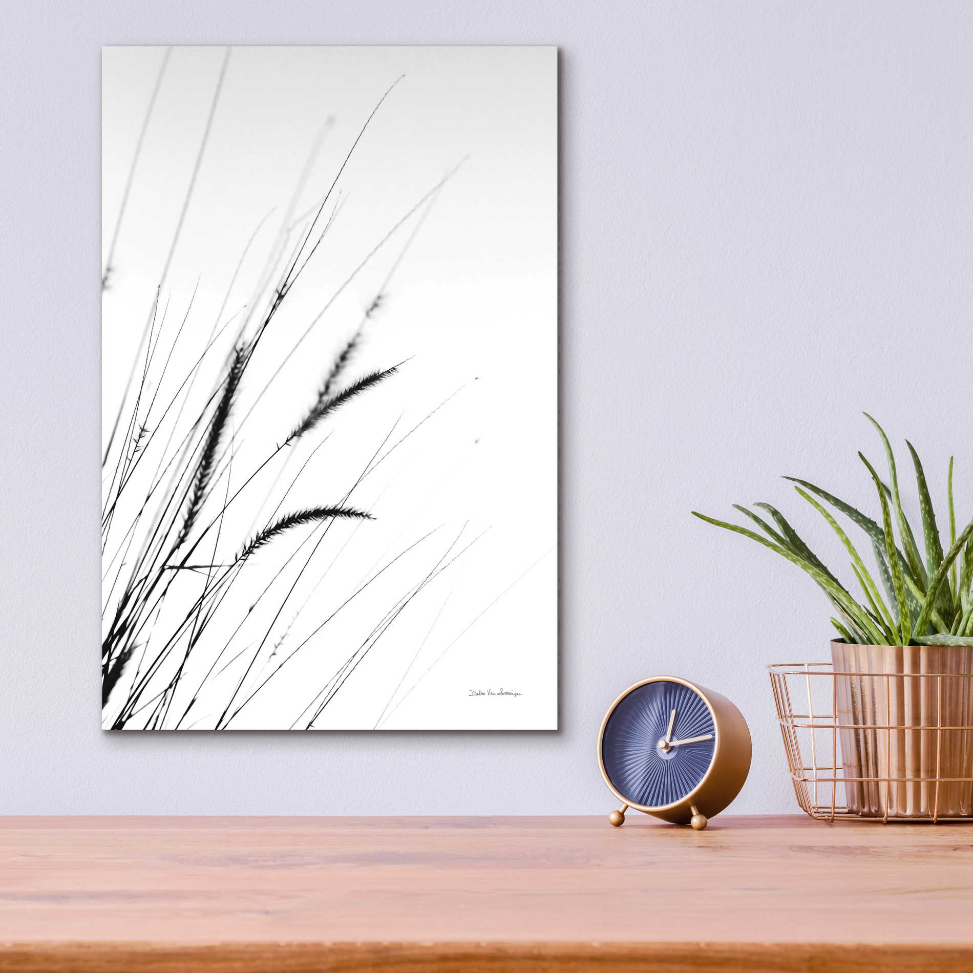 Epic Art 'Field Grasses I White' by Debra Van Swearingen, Acrylic Glass Wall Art,12x16