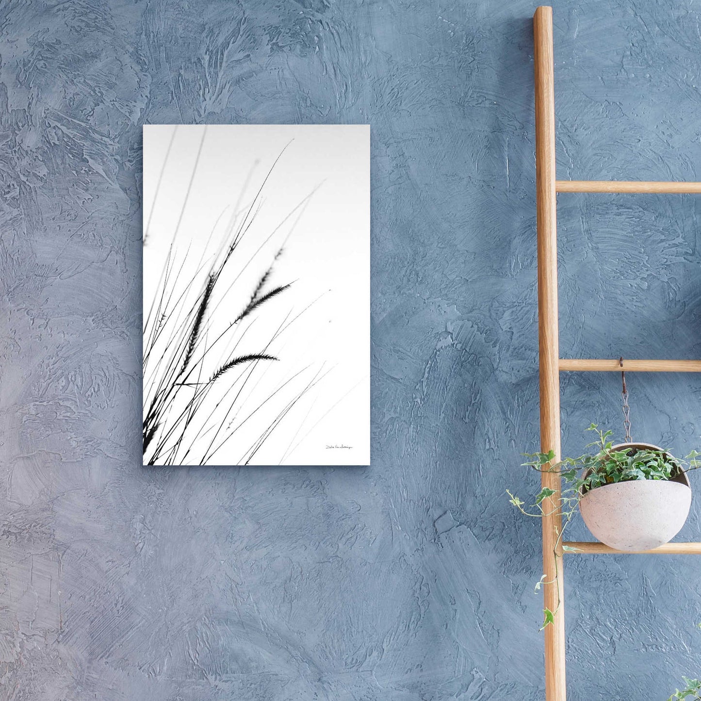 Epic Art 'Field Grasses I White' by Debra Van Swearingen, Acrylic Glass Wall Art,16x24