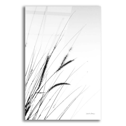 Epic Art 'Field Grasses I White' by Debra Van Swearingen, Acrylic Glass Wall Art