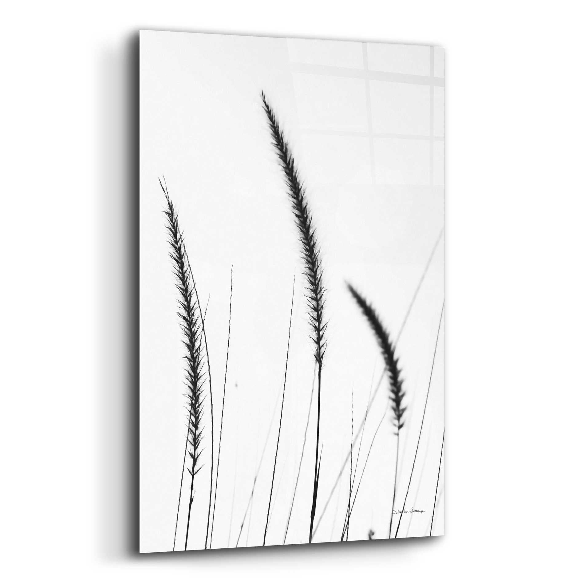 Epic Art 'Field Grasses IV White' by Debra Van Swearingen, Acrylic Glass Wall Art,12x16