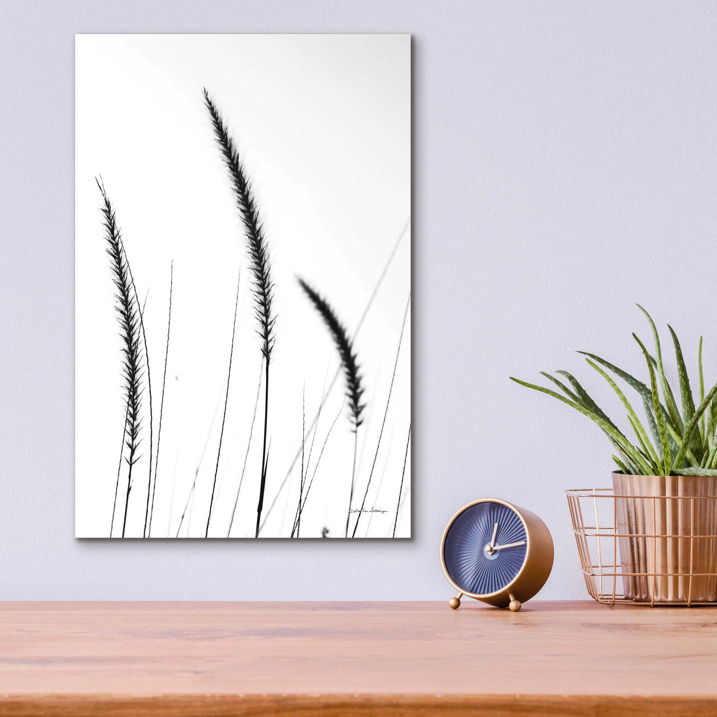 Epic Art 'Field Grasses IV White' by Debra Van Swearingen, Acrylic Glass Wall Art,12x16