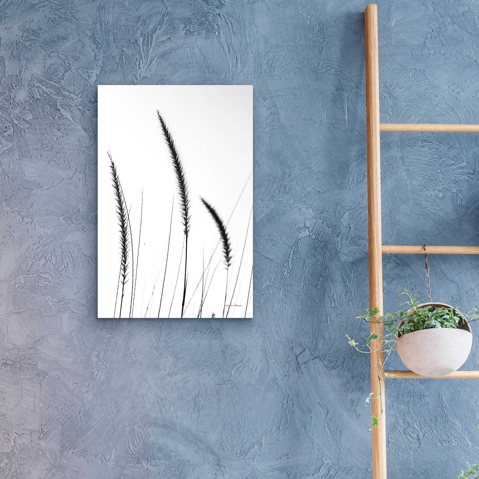 Epic Art 'Field Grasses IV White' by Debra Van Swearingen, Acrylic Glass Wall Art,16x24