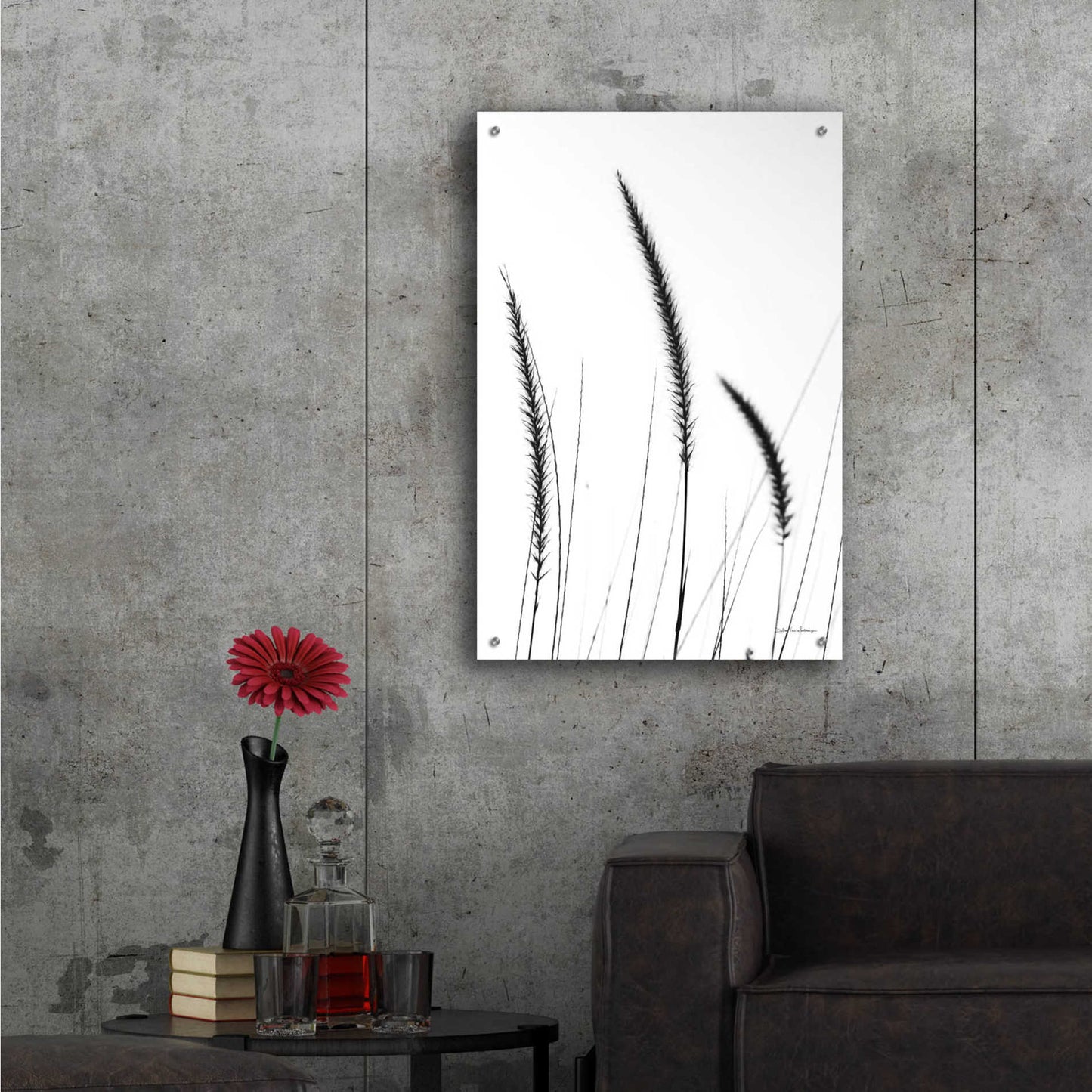 Epic Art 'Field Grasses IV White' by Debra Van Swearingen, Acrylic Glass Wall Art,24x36