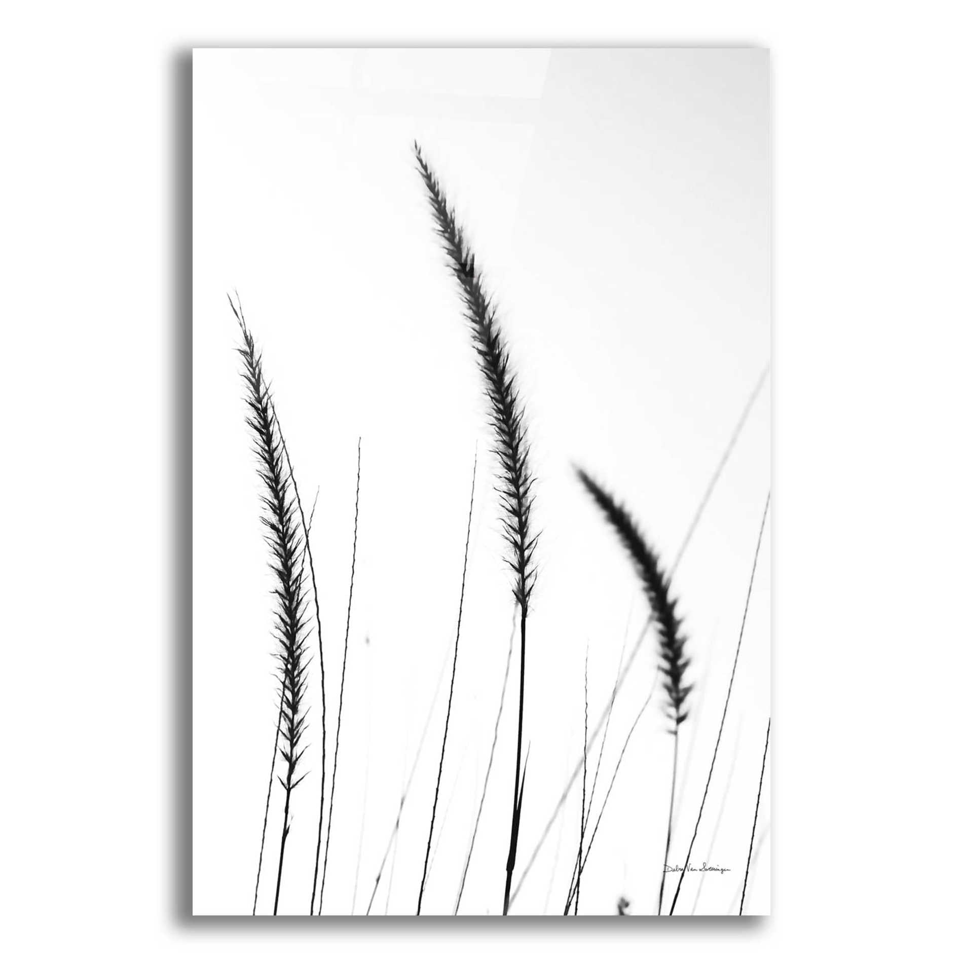 Epic Art 'Field Grasses IV White' by Debra Van Swearingen, Acrylic Glass Wall Art