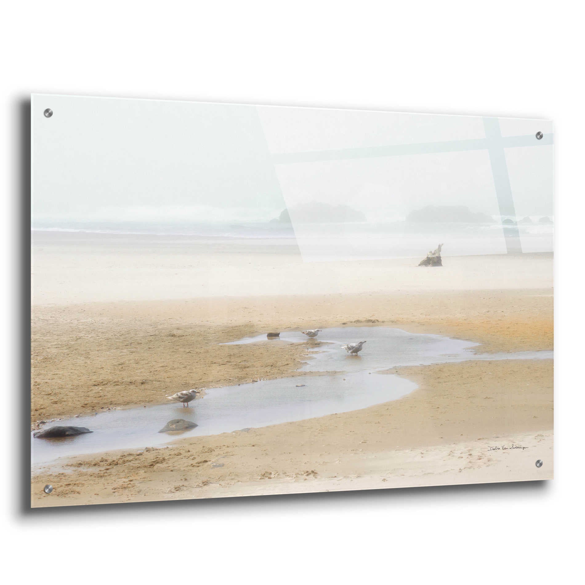 Epic Art 'Cold Beach II' by Debra Van Swearingen, Acrylic Glass Wall Art,36x24