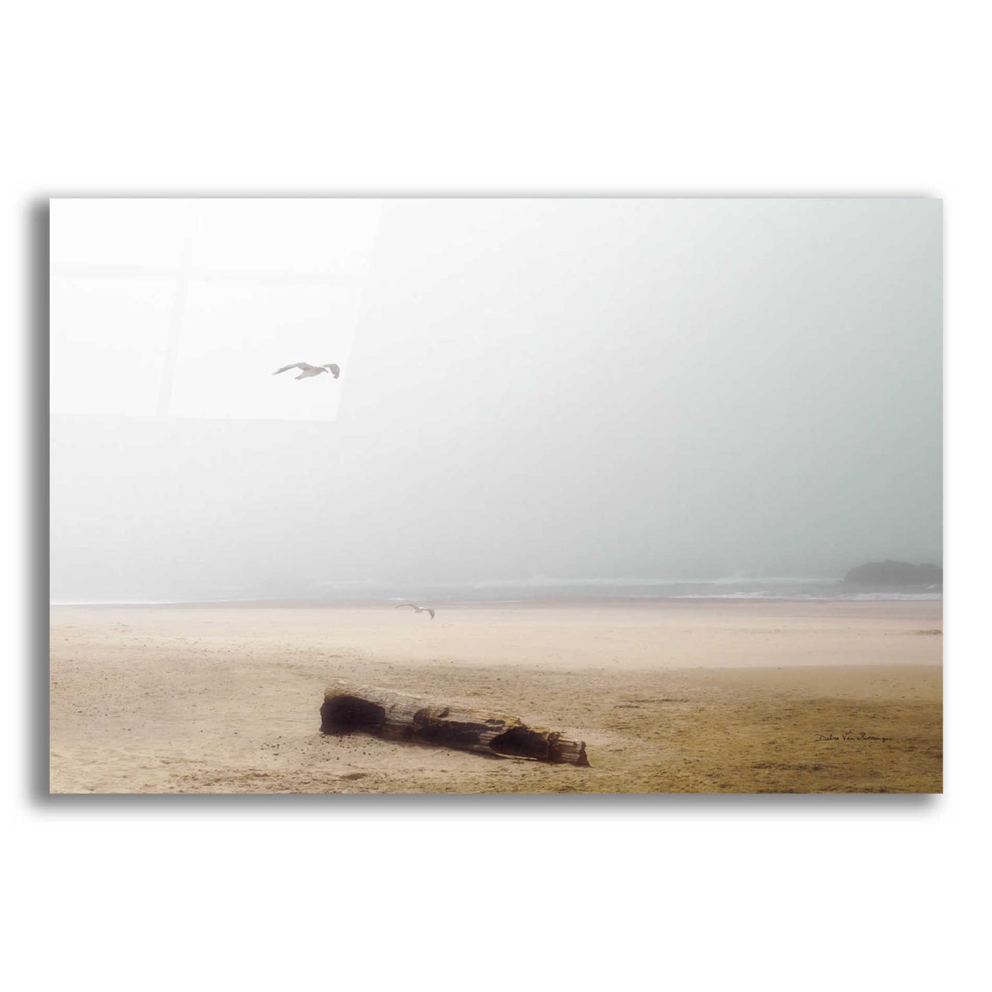 Epic Art 'Cold Beach III' by Debra Van Swearingen, Acrylic Glass Wall Art,24x16