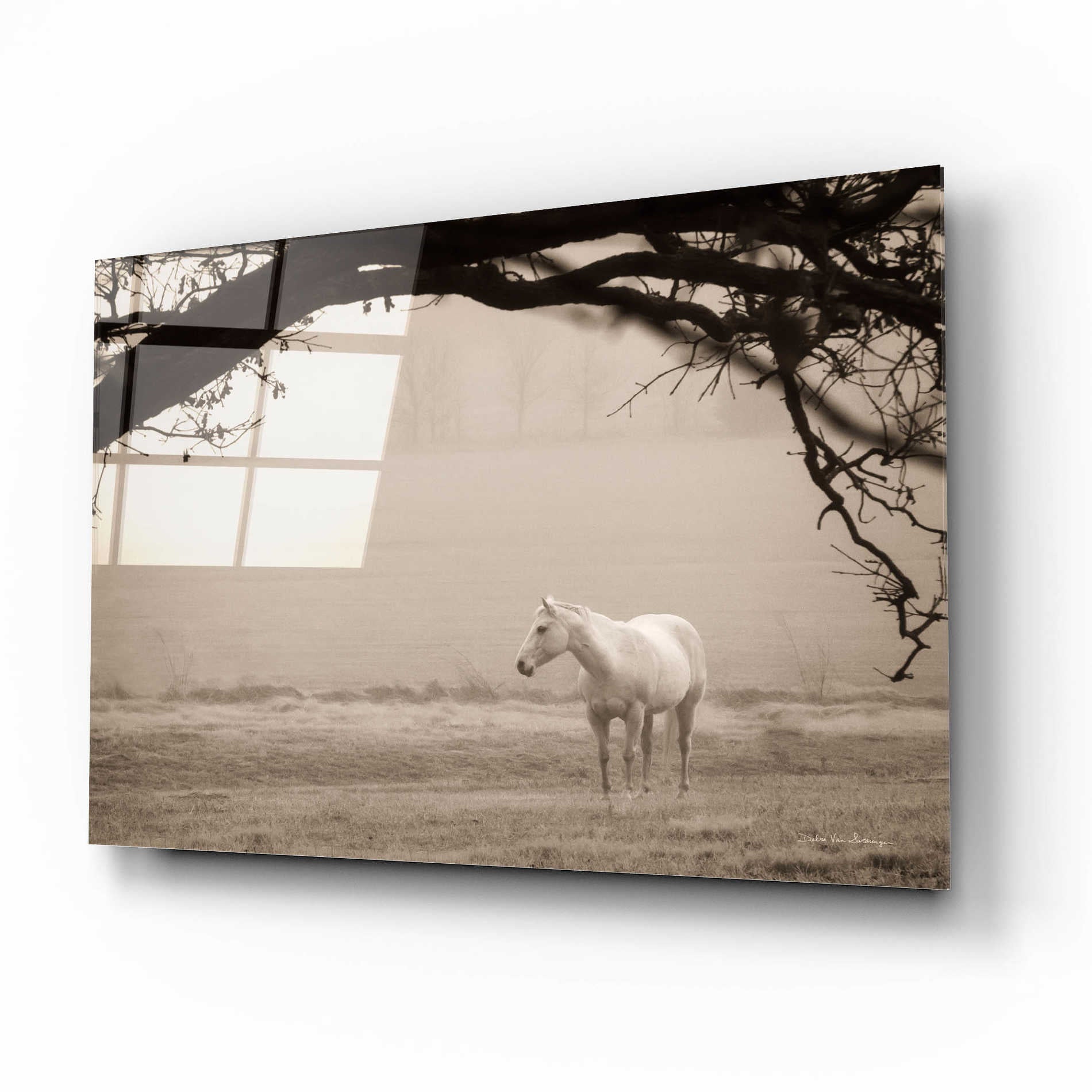 Epic Art 'Hazy Horse II' by Debra Van Swearingen, Acrylic Glass Wall Art,16x12