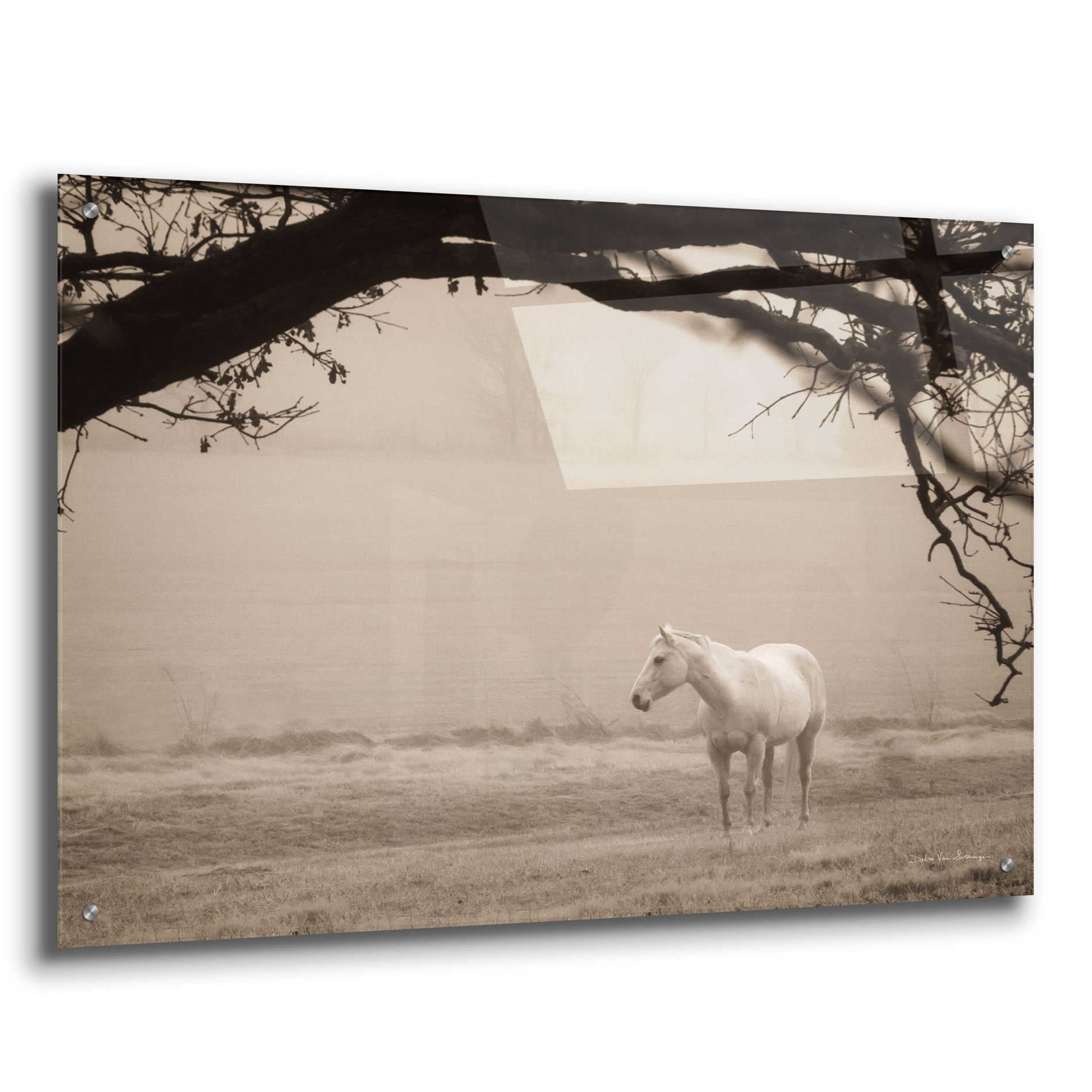 Epic Art 'Hazy Horse II' by Debra Van Swearingen, Acrylic Glass Wall Art,36x24