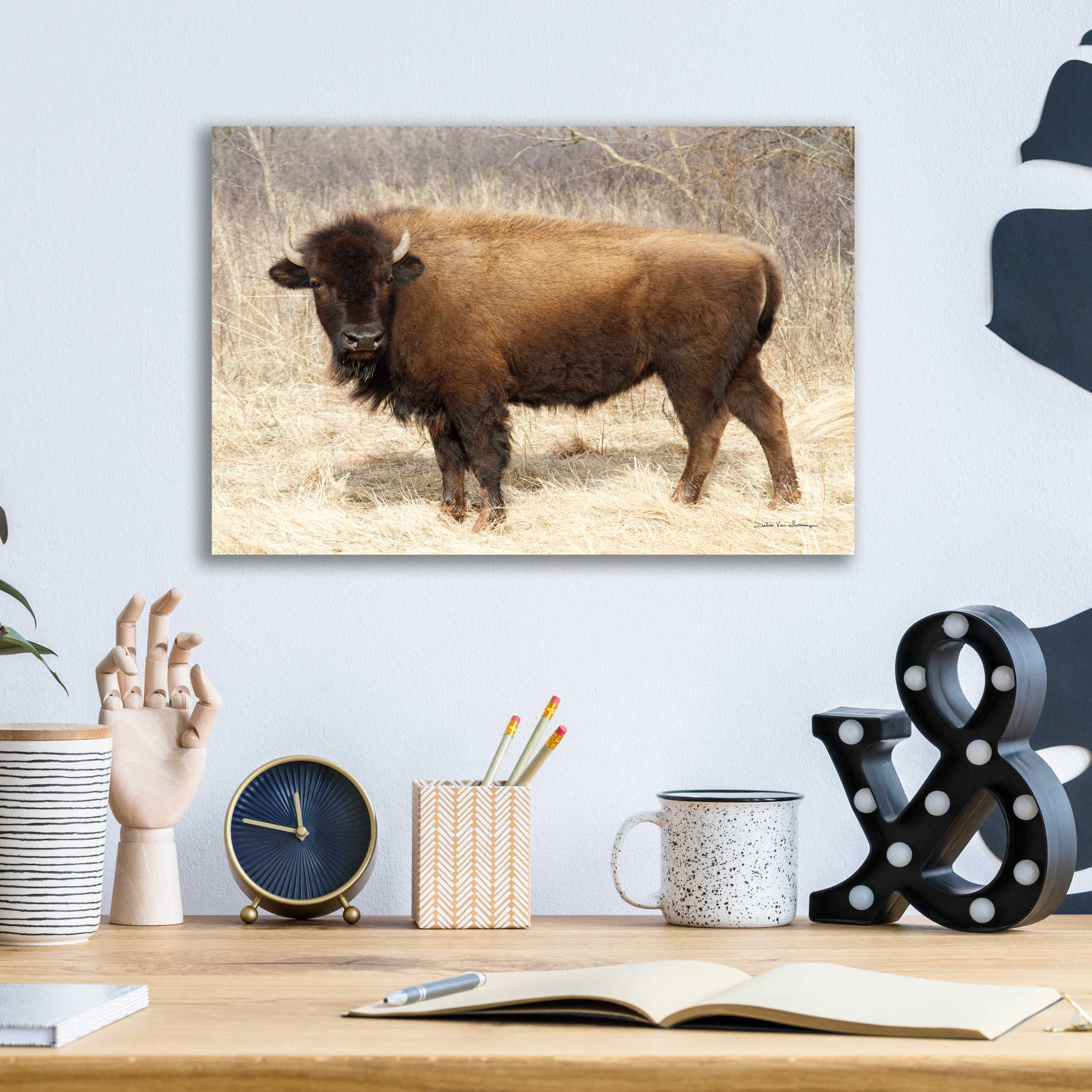 Epic Art 'American Bison I' by Debra Van Swearingen, Acrylic Glass Wall Art,16x12