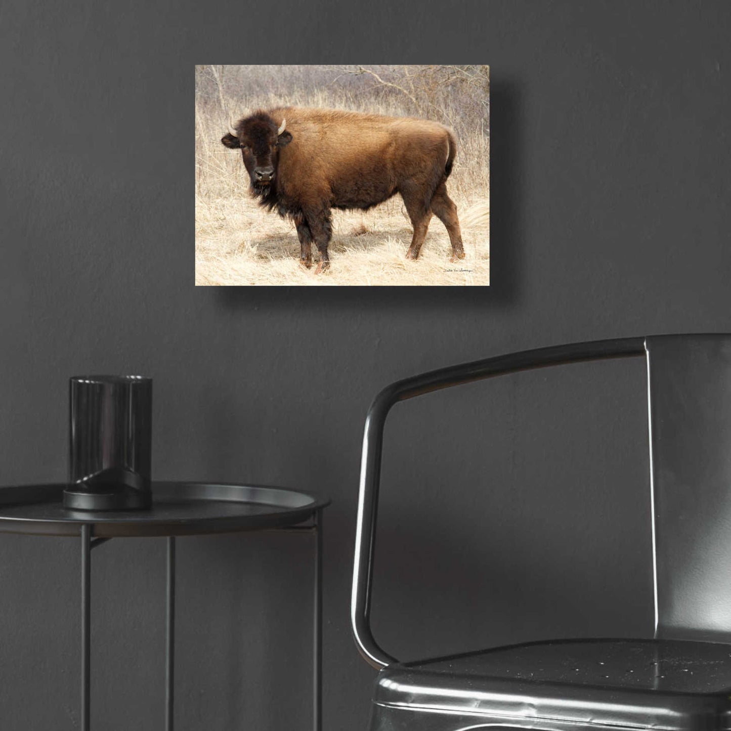 Epic Art 'American Bison I' by Debra Van Swearingen, Acrylic Glass Wall Art,16x12