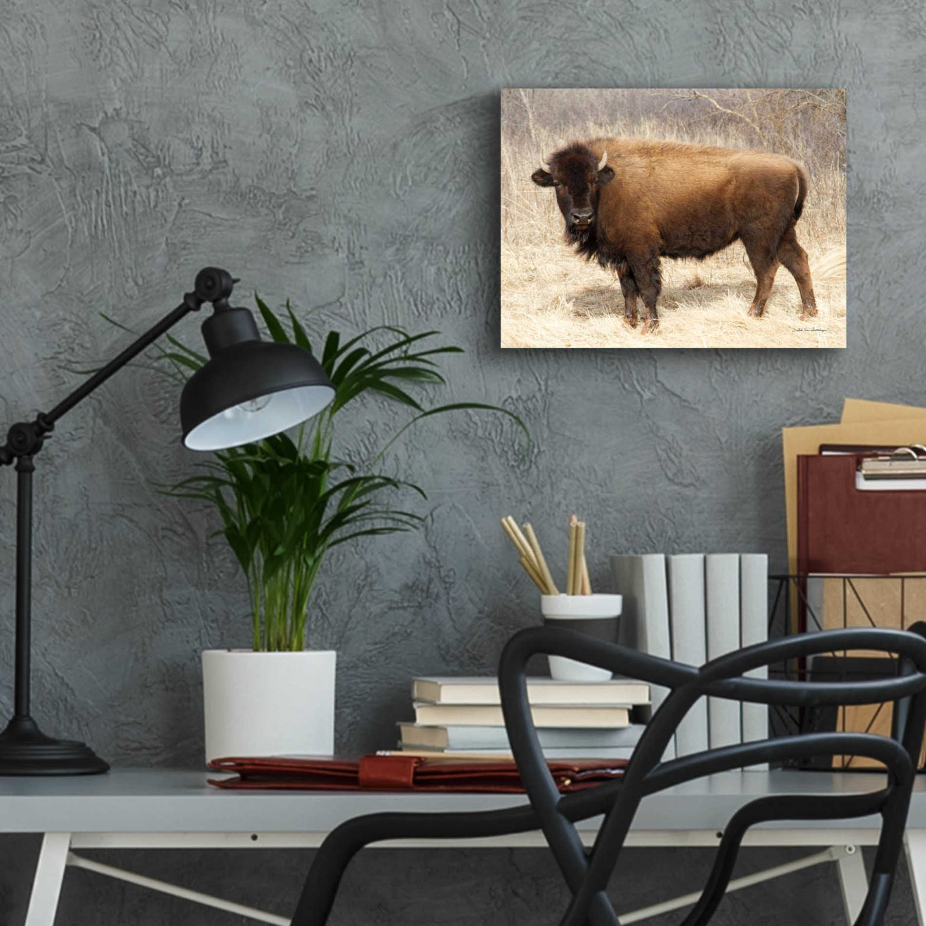 Epic Art 'American Bison I' by Debra Van Swearingen, Acrylic Glass Wall Art,16x12