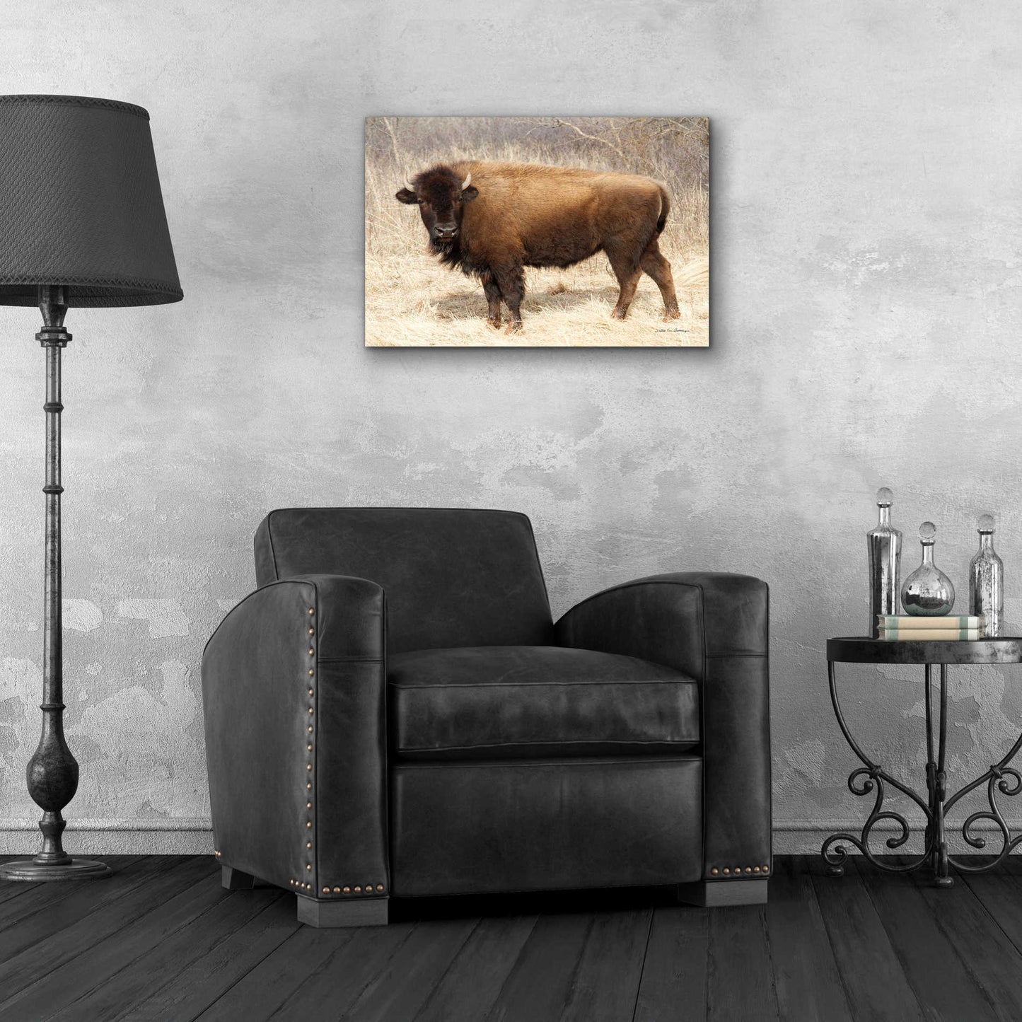 Epic Art 'American Bison I' by Debra Van Swearingen, Acrylic Glass Wall Art,24x16