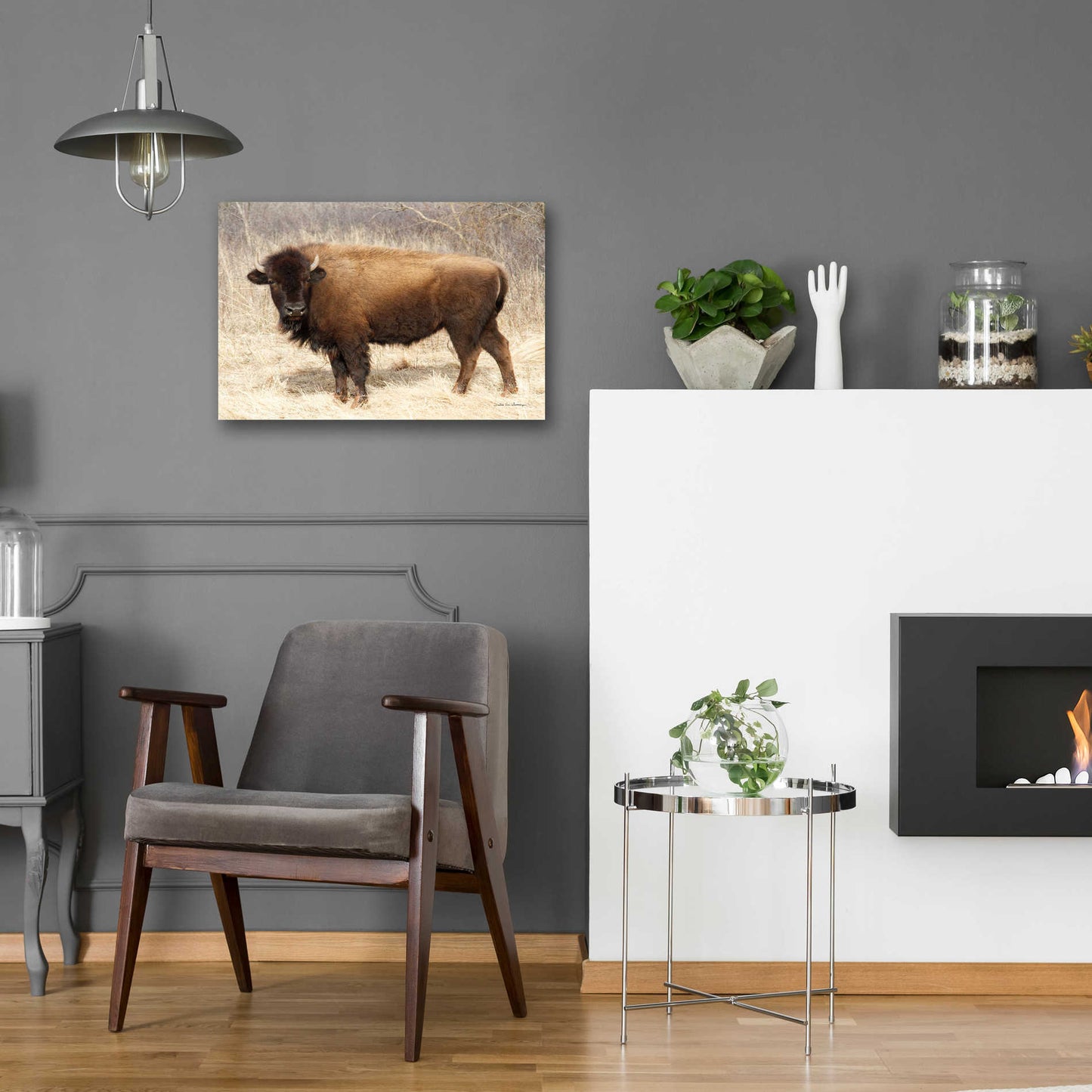 Epic Art 'American Bison I' by Debra Van Swearingen, Acrylic Glass Wall Art,24x16