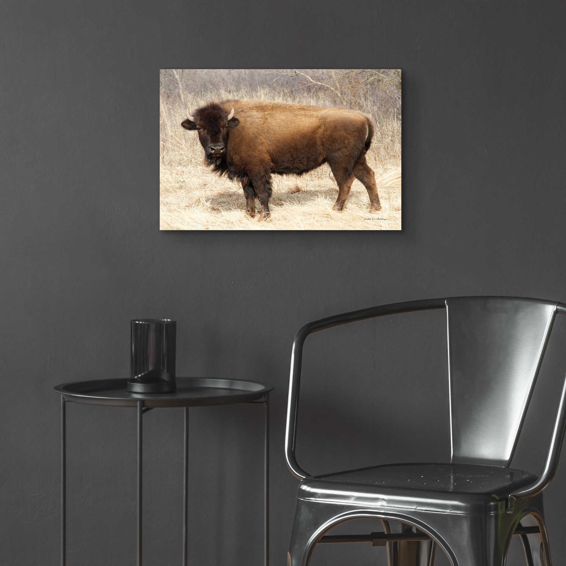 Epic Art 'American Bison I' by Debra Van Swearingen, Acrylic Glass Wall Art,24x16