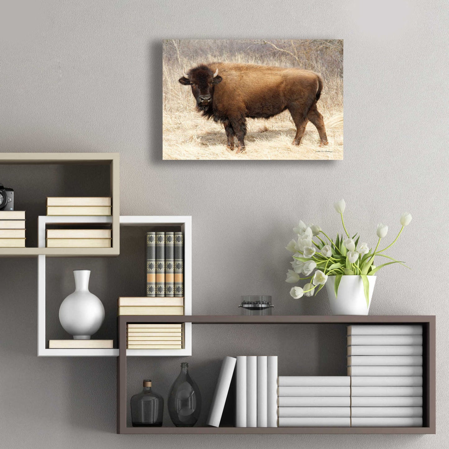 Epic Art 'American Bison I' by Debra Van Swearingen, Acrylic Glass Wall Art,24x16