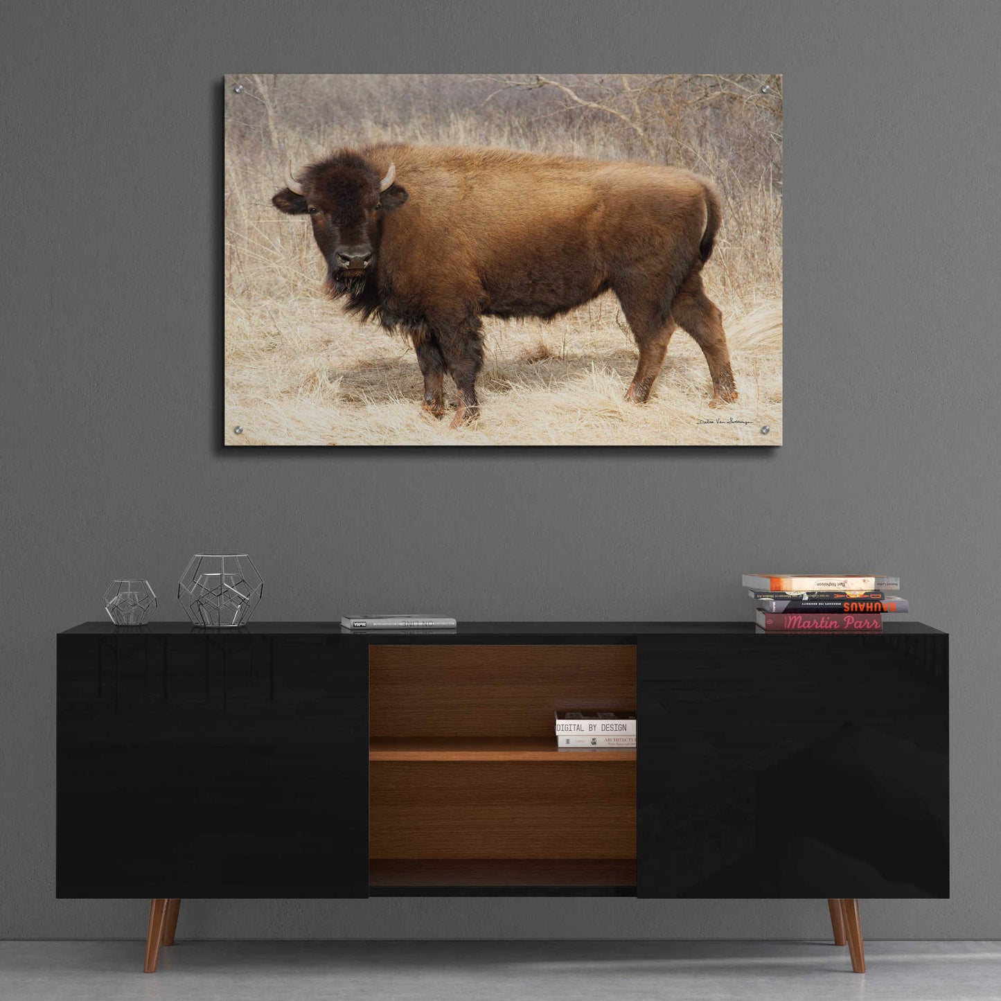 Epic Art 'American Bison I' by Debra Van Swearingen, Acrylic Glass Wall Art,36x24