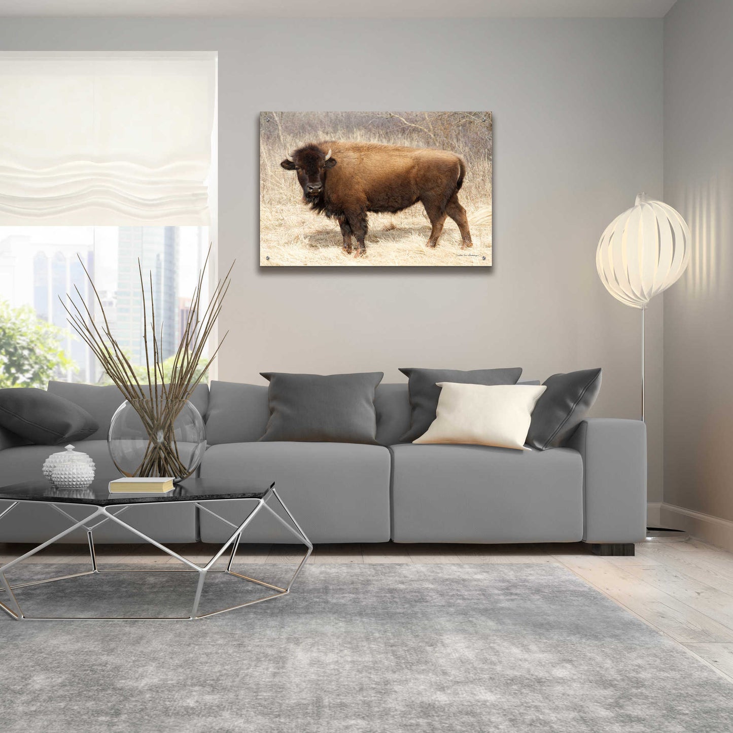 Epic Art 'American Bison I' by Debra Van Swearingen, Acrylic Glass Wall Art,36x24