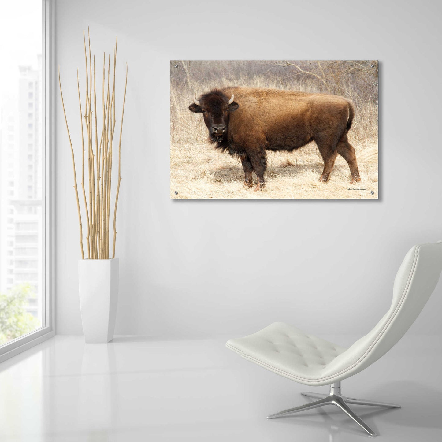 Epic Art 'American Bison I' by Debra Van Swearingen, Acrylic Glass Wall Art,36x24