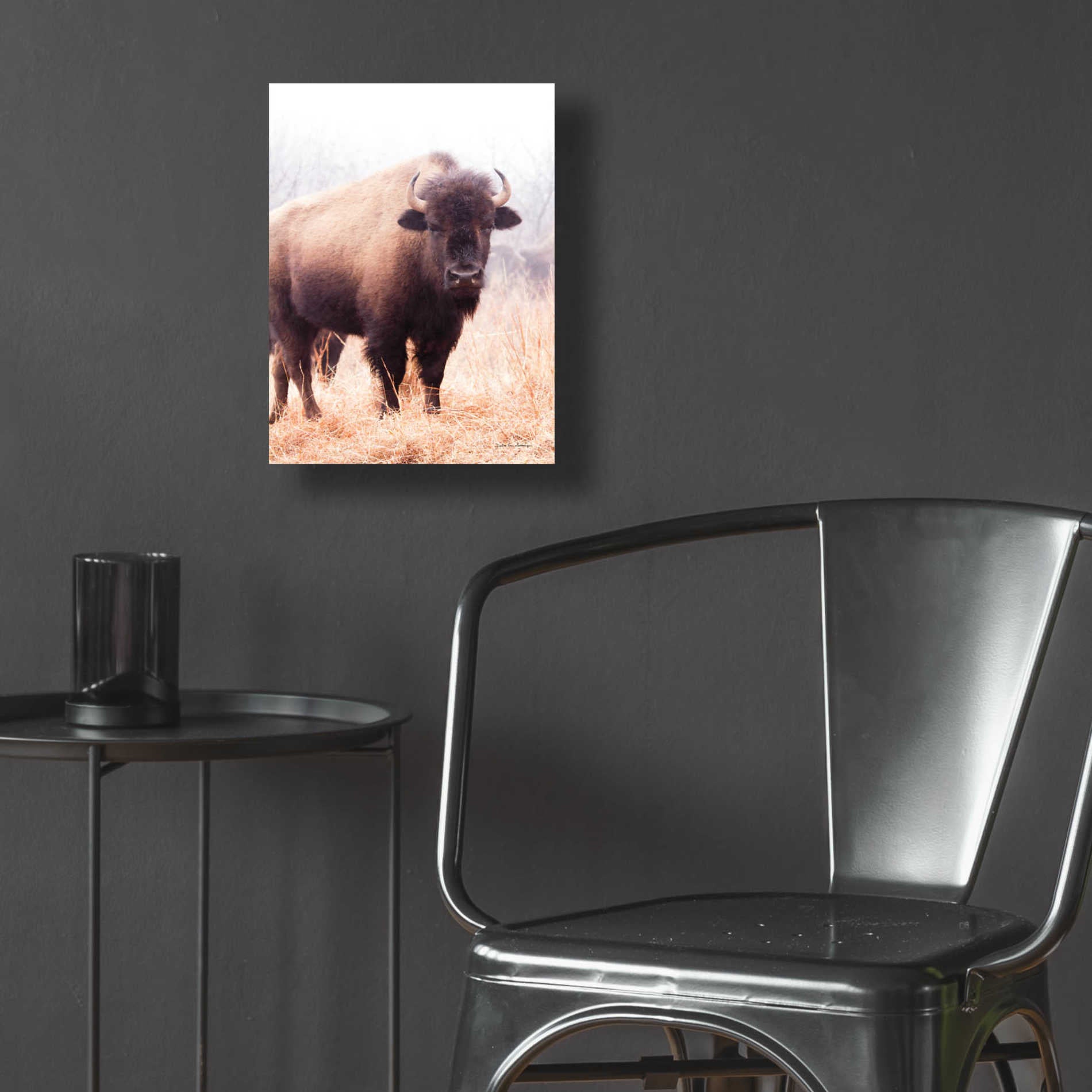 Epic Art 'American Bison V' by Debra Van Swearingen, Acrylic Glass Wall Art,12x16