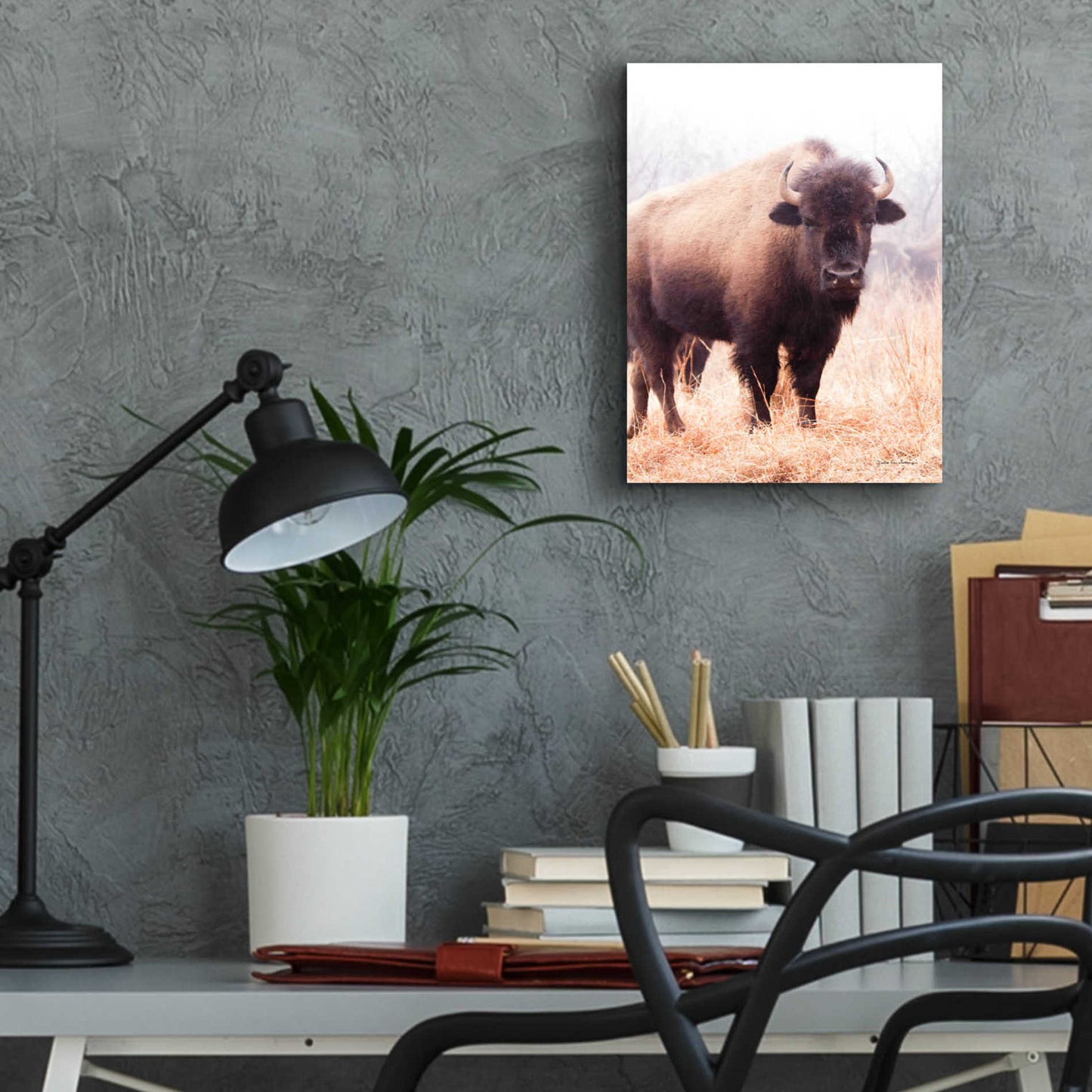 Epic Art 'American Bison V' by Debra Van Swearingen, Acrylic Glass Wall Art,12x16